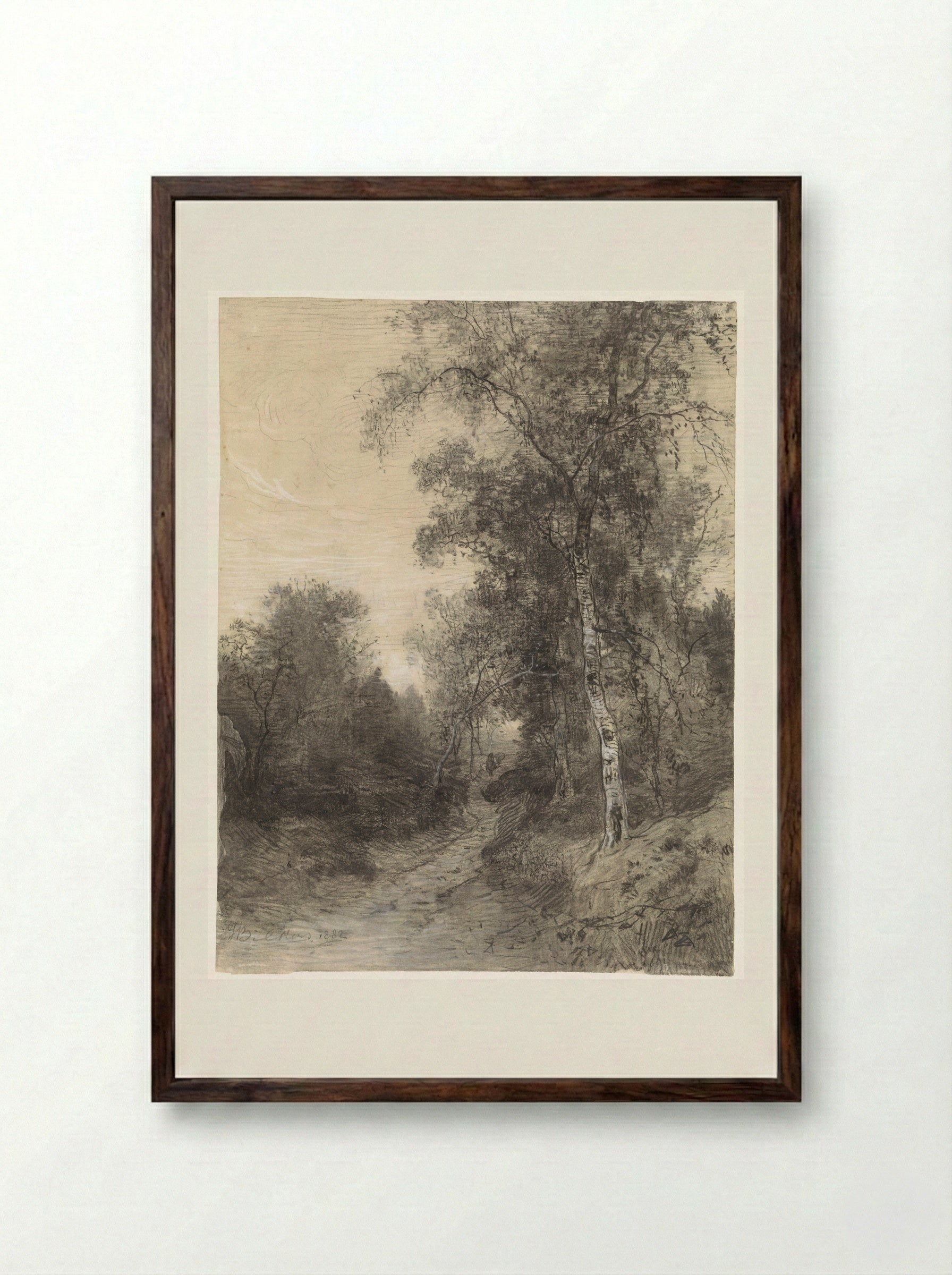 Bosgezicht (Forest View) - Johannes Warnardus Bilders - Framed Print Dark Wood