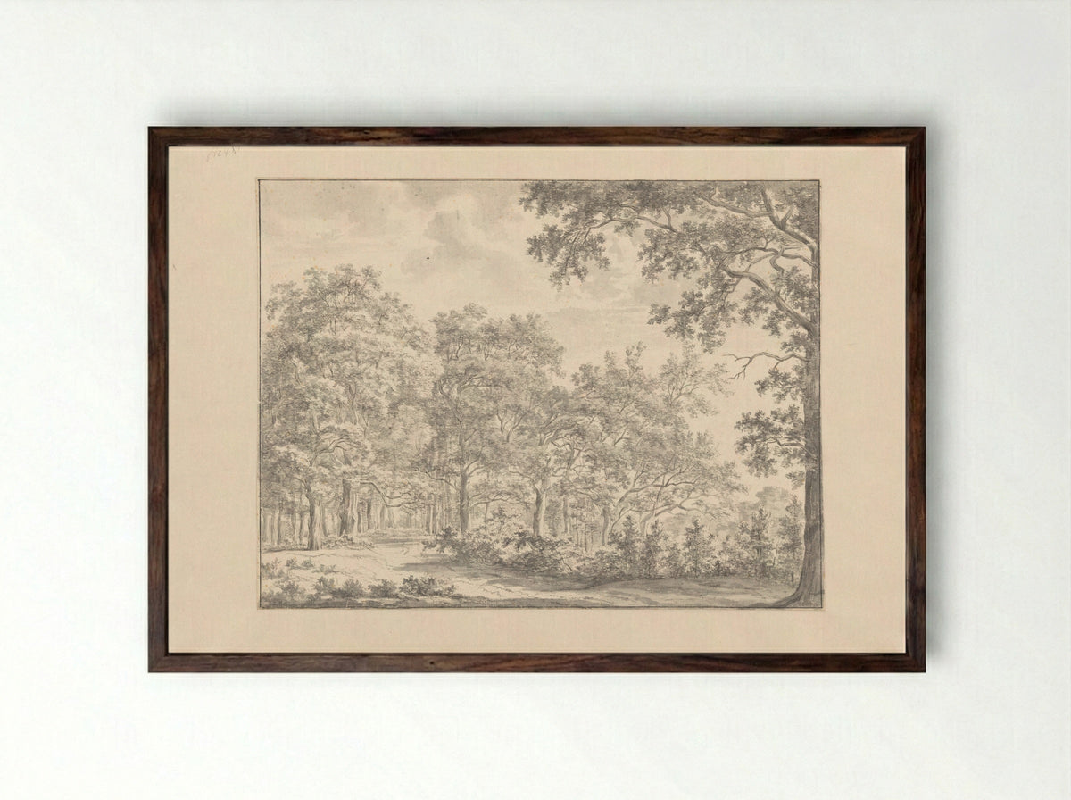 Bosgezicht (Forest View) - Jan Andries Töpfer - Framed Print Dark Wood