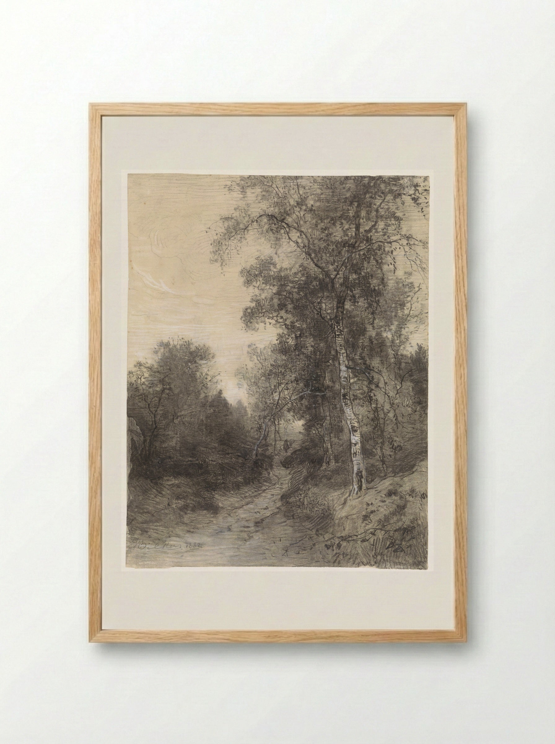 Bosgezicht (Forest View) - Johannes Warnardus Bilders - Framed Print Wood