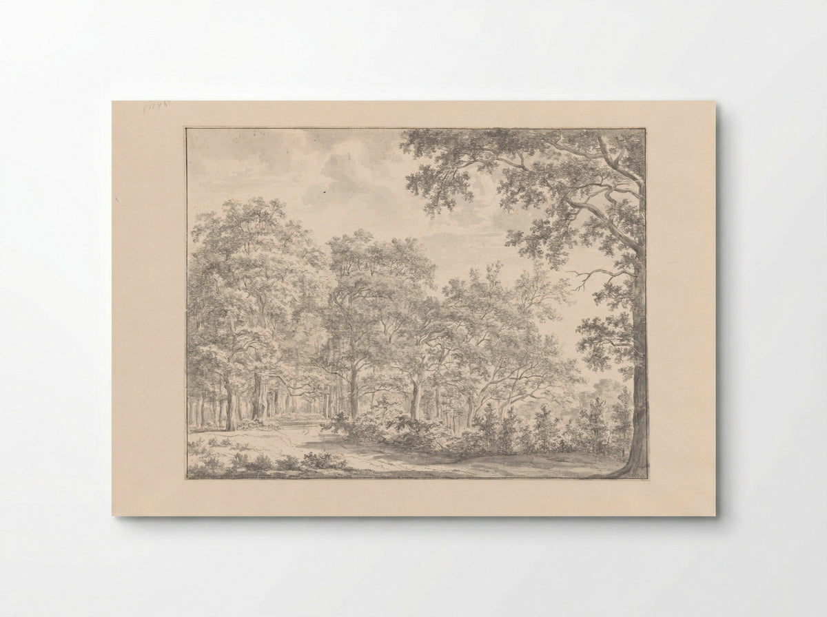 Bosgezicht (Forest View) - Jan Andries Töpfer - Poster