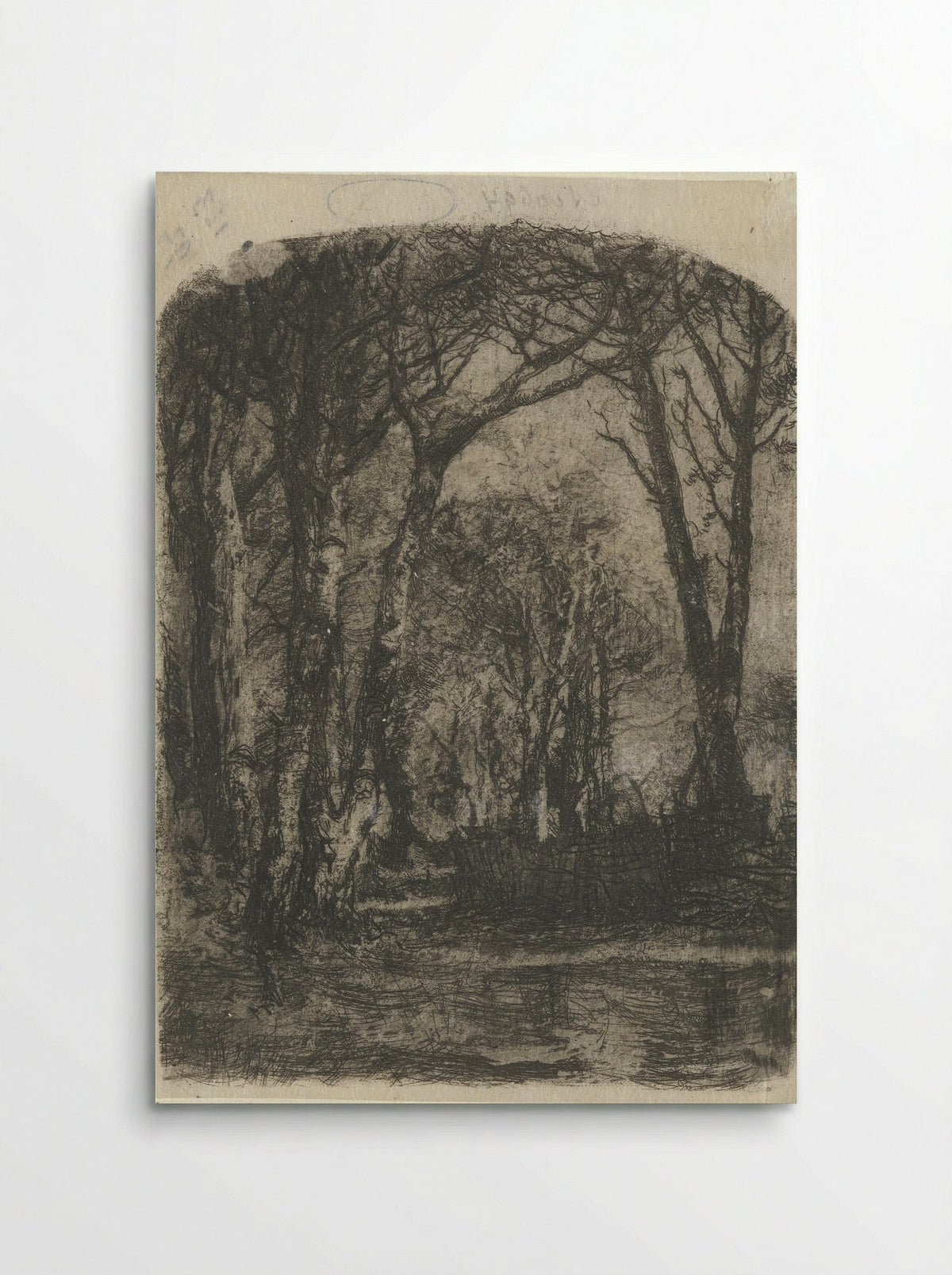 Bosgezicht (Forest View) - Mosè Bianchi - Poster