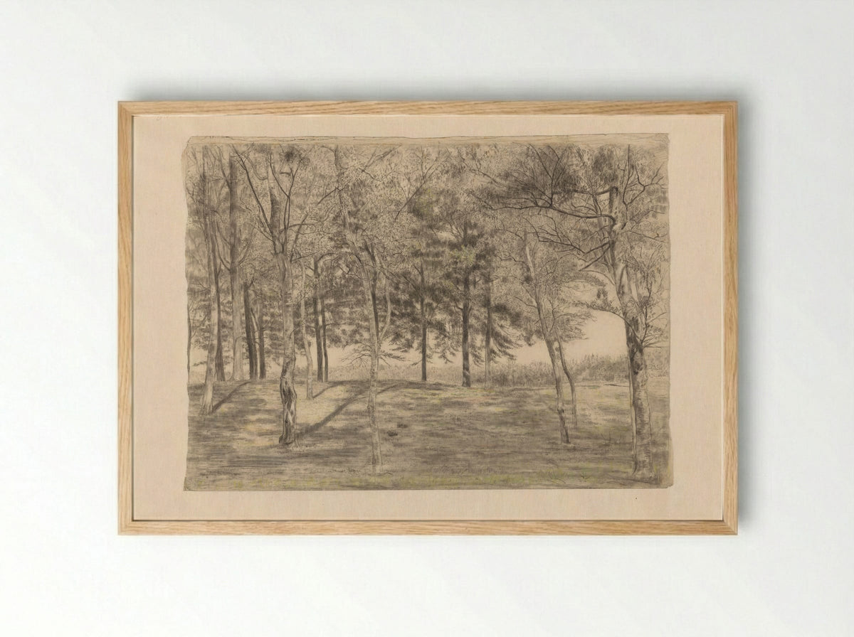 Bosgezicht bij Doorn - Cornelis Gerardus 't Hooft - Framed Print Wood