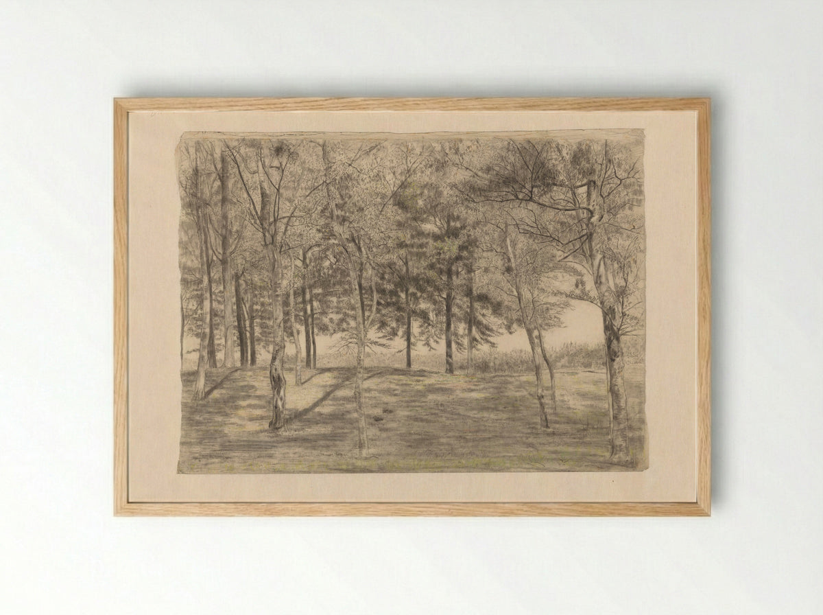 Bosgezicht bij Doorn - Cornelis Gerardus 't Hooft - Framed Print Wood
