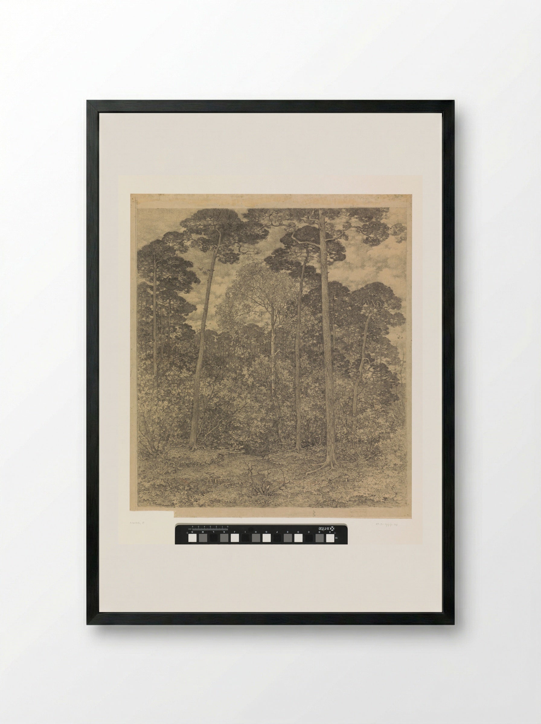 Bosgezicht bij Scherpenzeel - Edzard Koning - Framed Print Black
