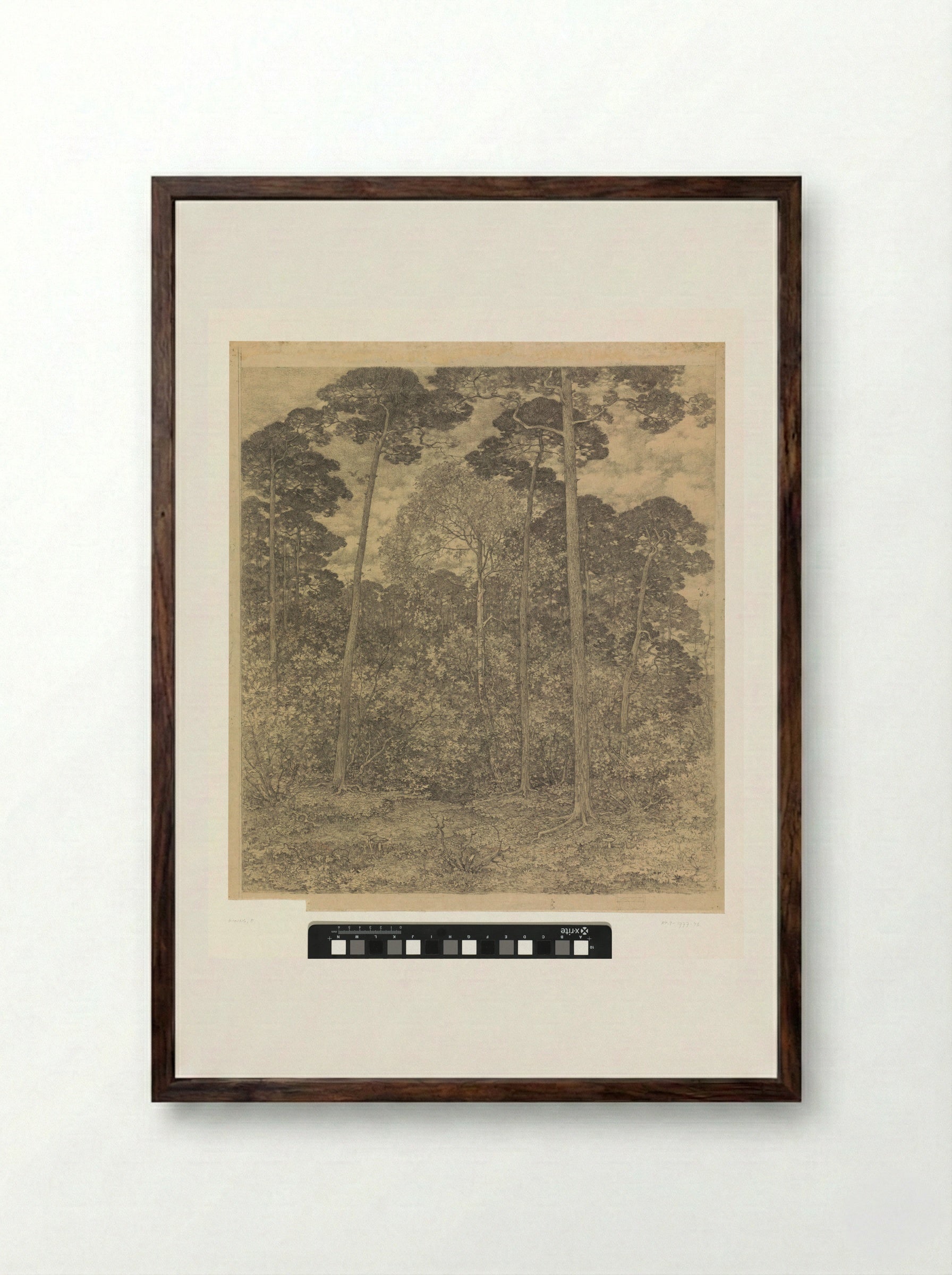 Bosgezicht bij Scherpenzeel - Edzard Koning - Framed Print Dark Wood