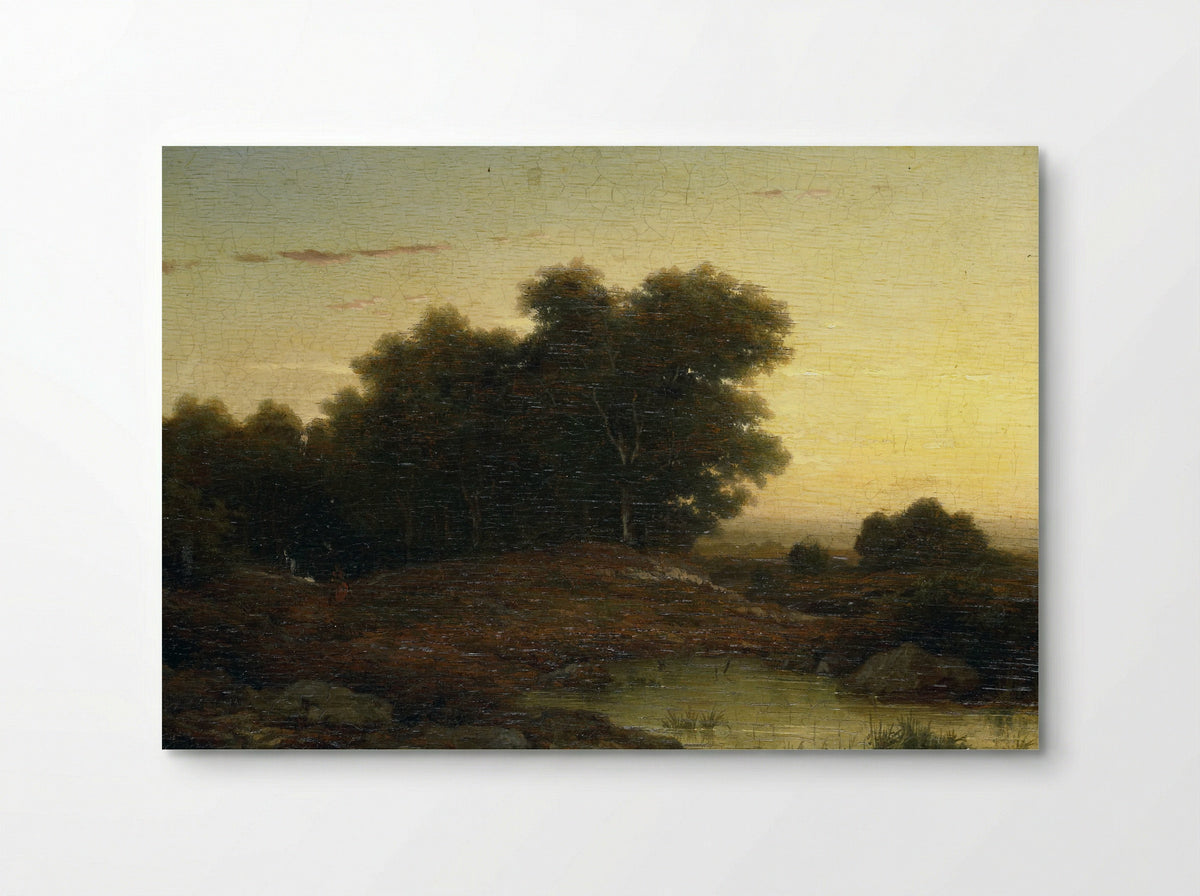 Bosgezicht bij zonsondergang - Louwrens Hanedoes - Poster