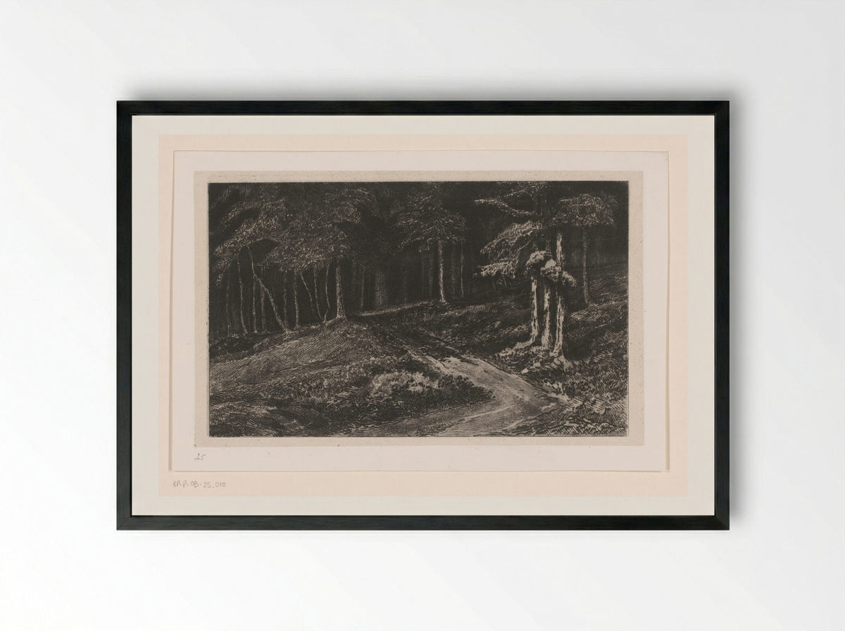 Bosrand bij Kelheim - Carel Nicolaas Storm van 's-Gravesande - Framed Print Black