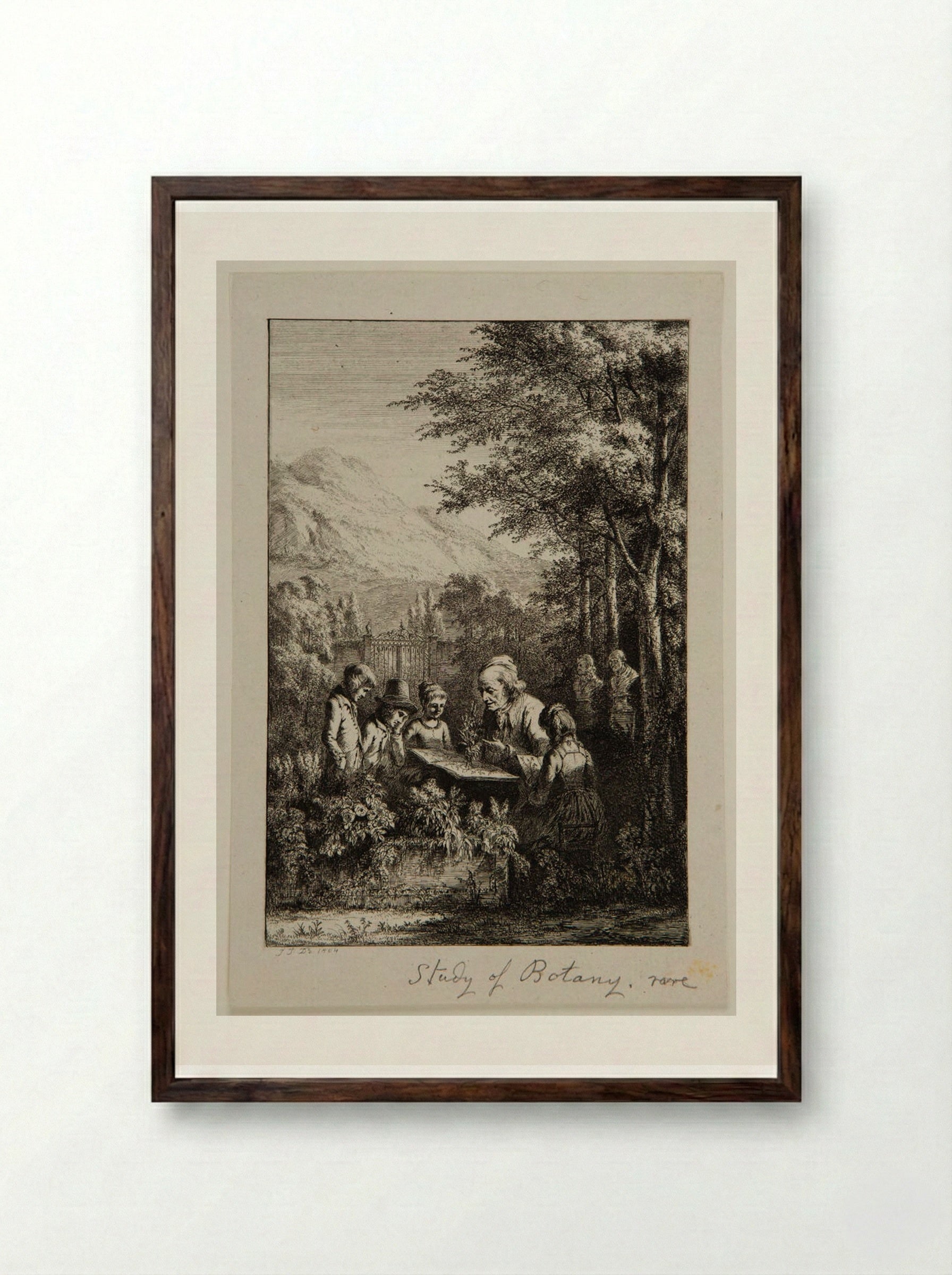 Botany Lesson - Jean-Jacques de Boissieu - Framed Print Dark Wood