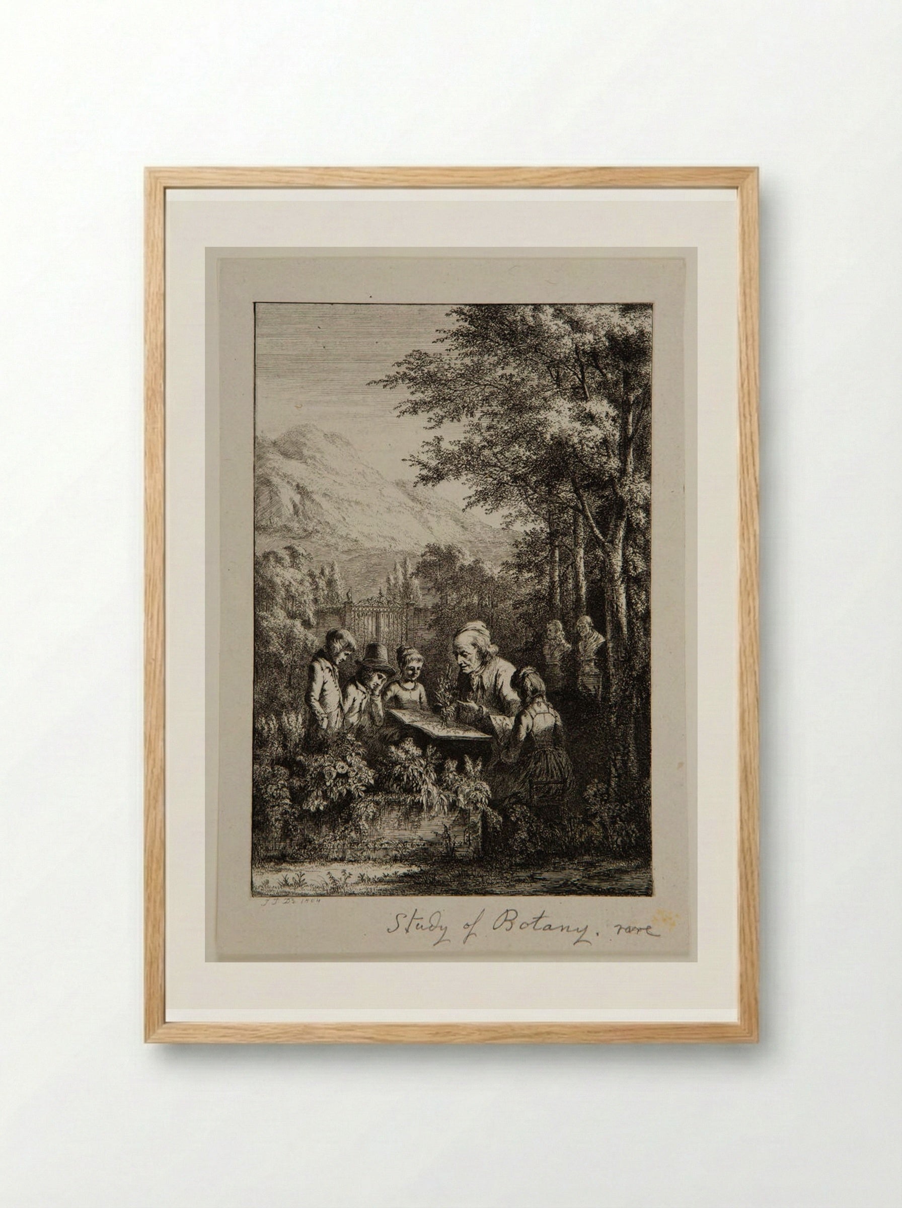 Botany Lesson - Jean-Jacques de Boissieu - Framed Print Wood