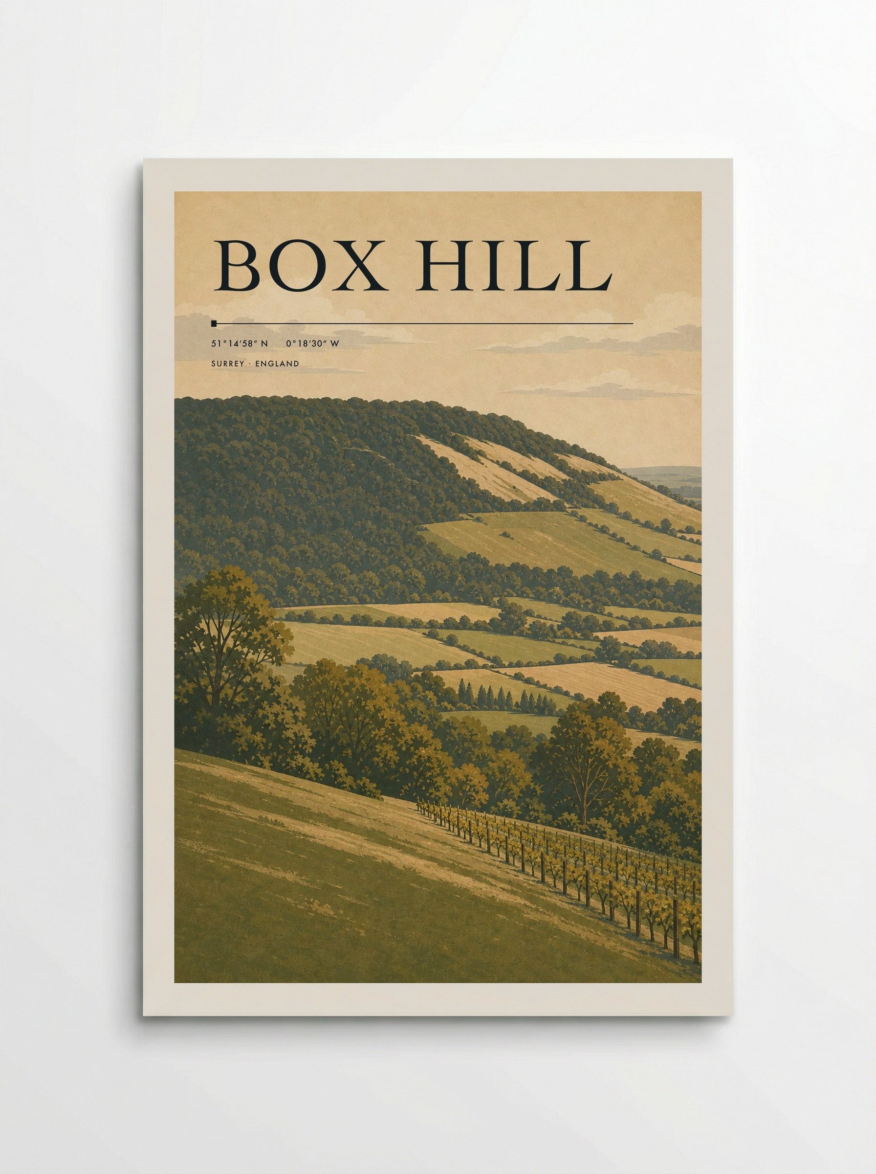 Box Hill Surrey England Travel Poster - Poster