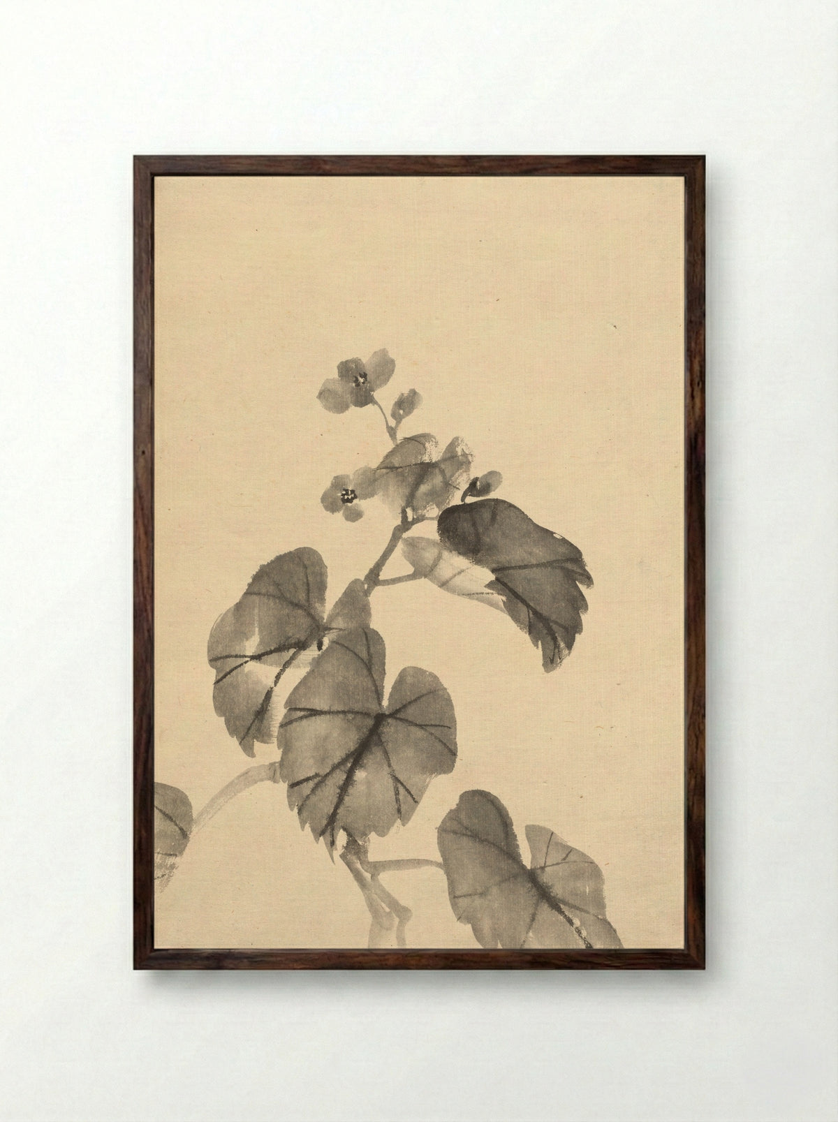Branch of Begonia in Bloom - Kono Bairei - Framed Print Dark Wood