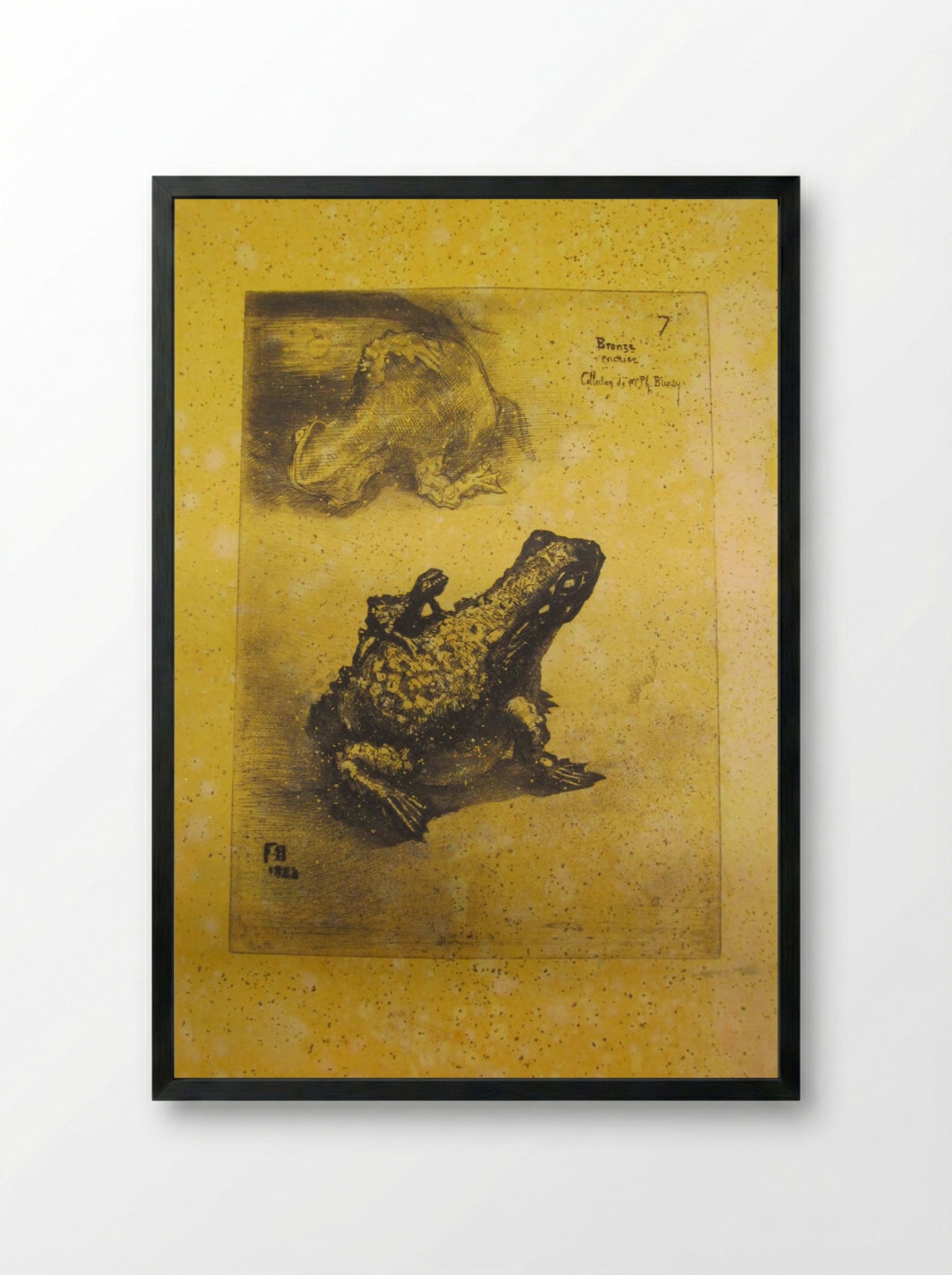 Bronze Toad - Félix Hilaire Buhot - Framed Print Black