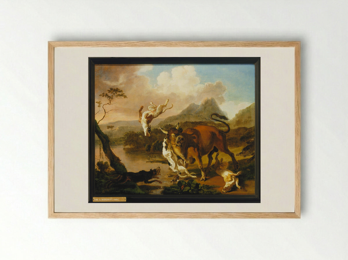 Bull Attacked by Dogs - Abraham Daniëlsz. Hondius - Framed Print Wood