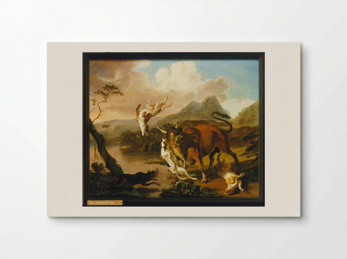 Bull Attacked by Dogs - Abraham Daniëlsz. Hondius - Poster