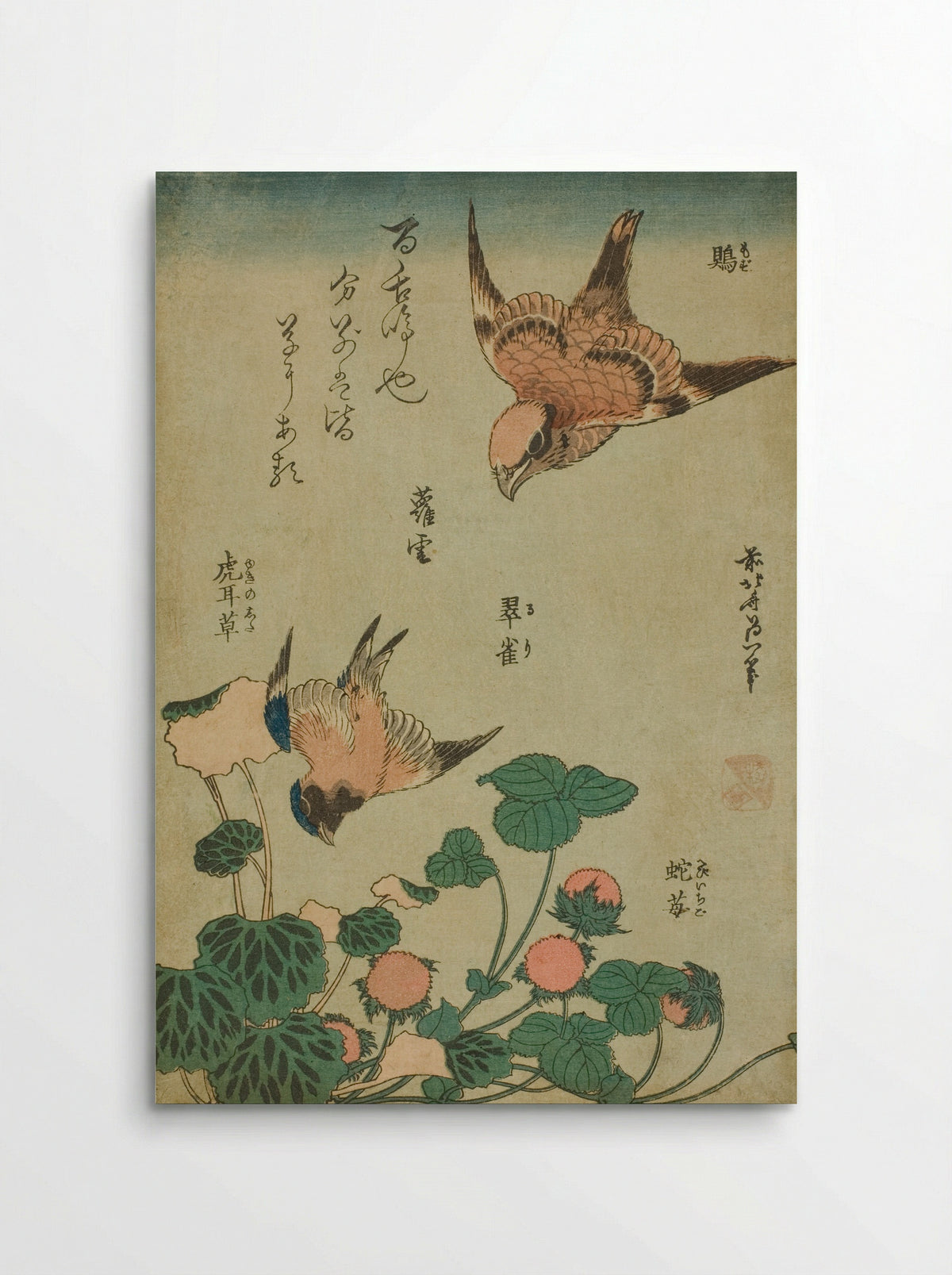 Bull-headed Shrike and Bluebird with Saxifrage and Wild Strawberry - Katsushika Hokusai - Poster