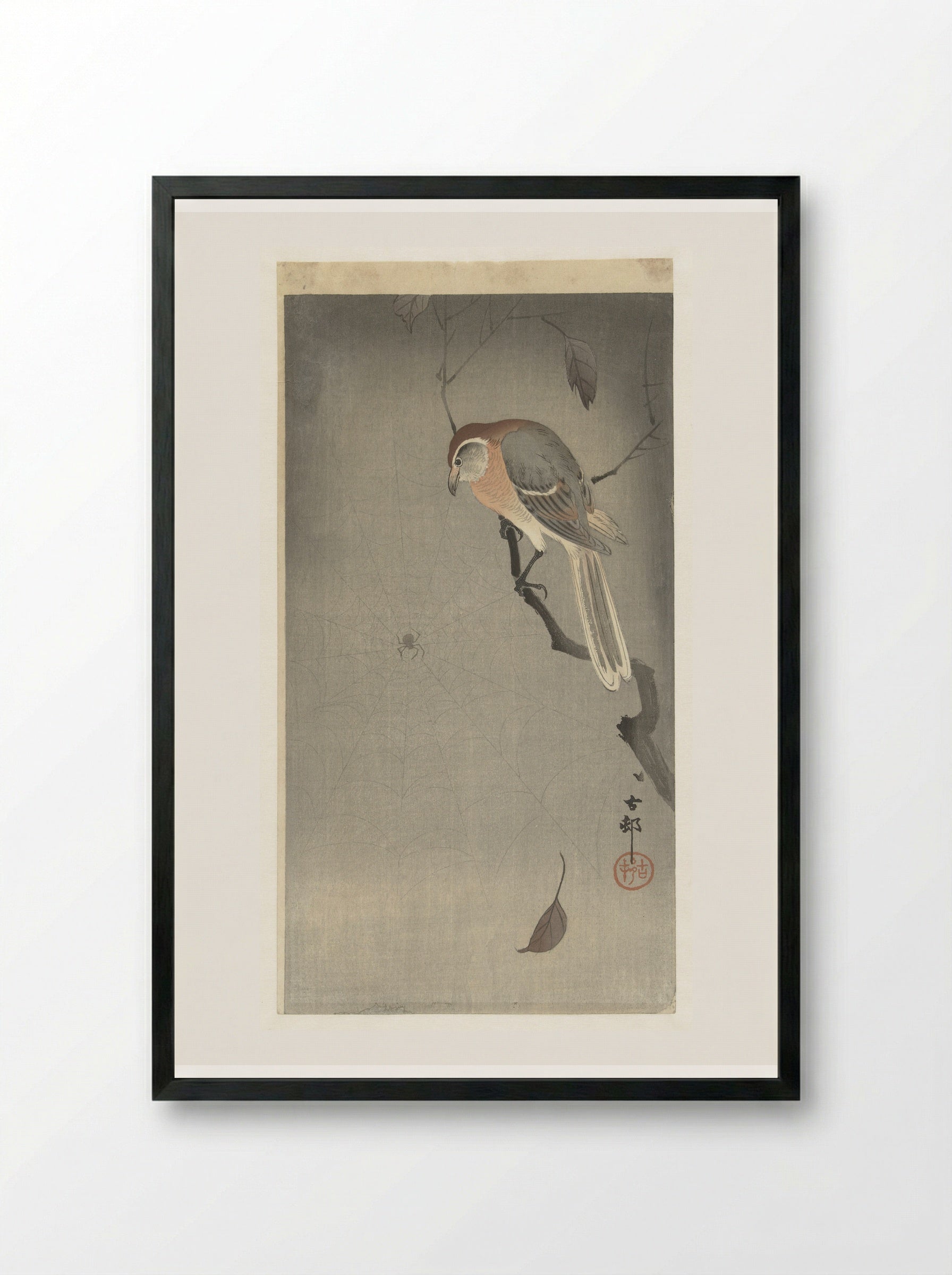 Bull-headed Shrike and Spider - Ohara Koson - Framed Print Black