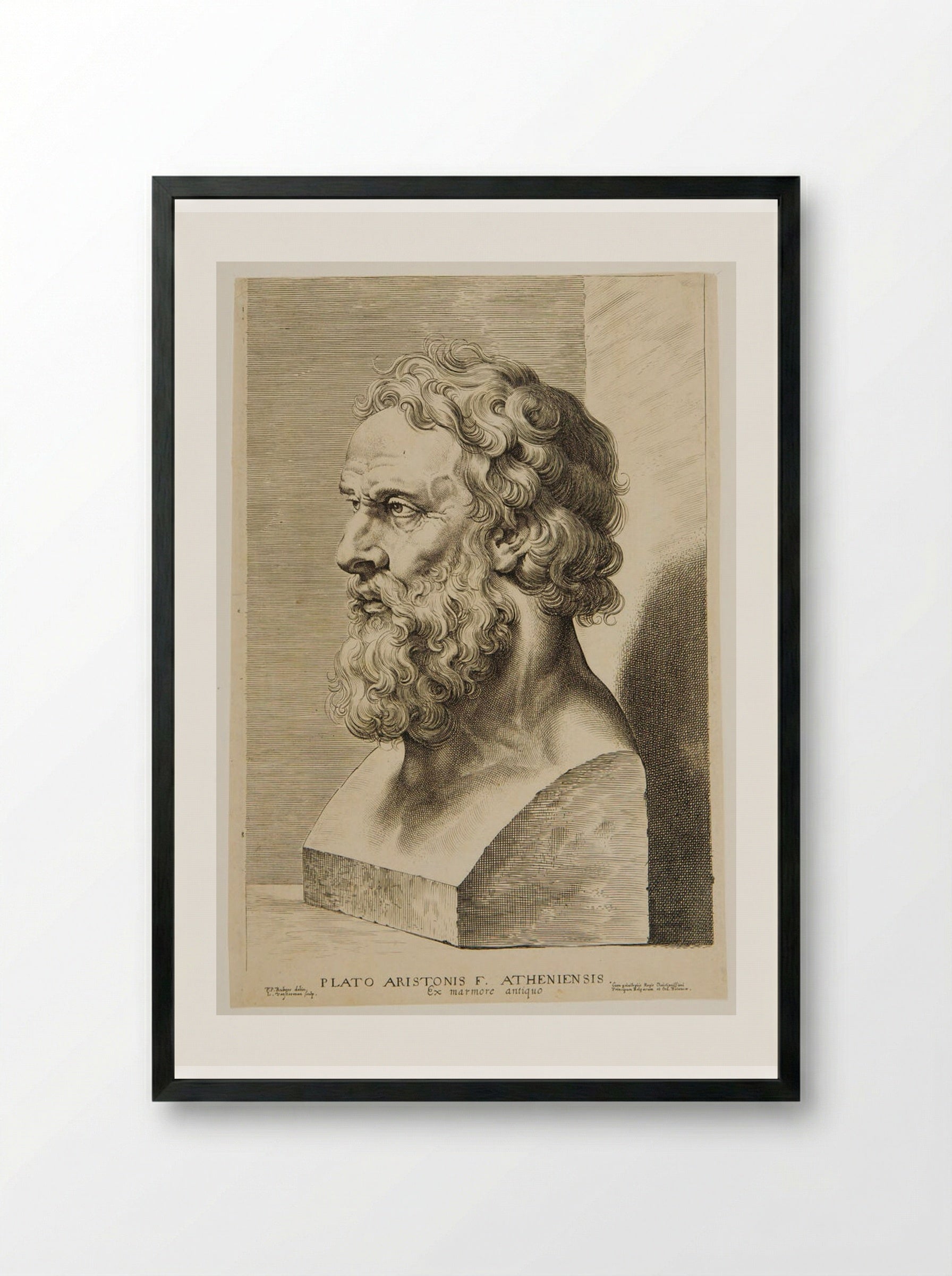 Bust of Plato - Lucas Vorsterman I - Framed Print Black