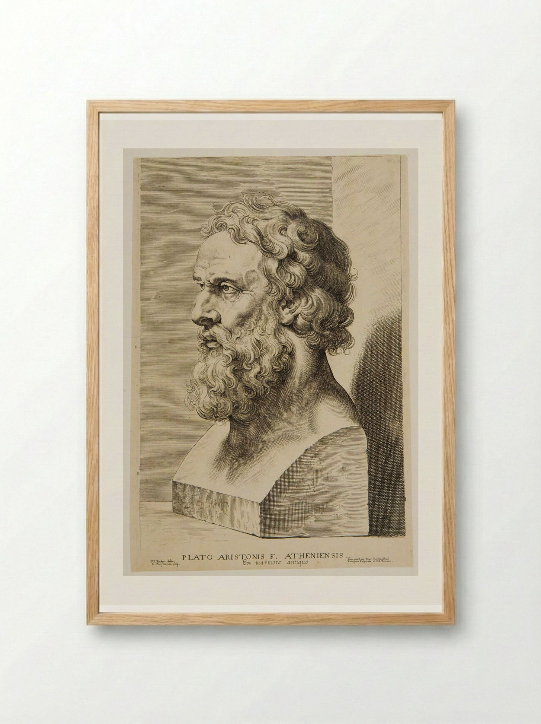 Bust of Plato - Lucas Vorsterman I - Framed Print Wood