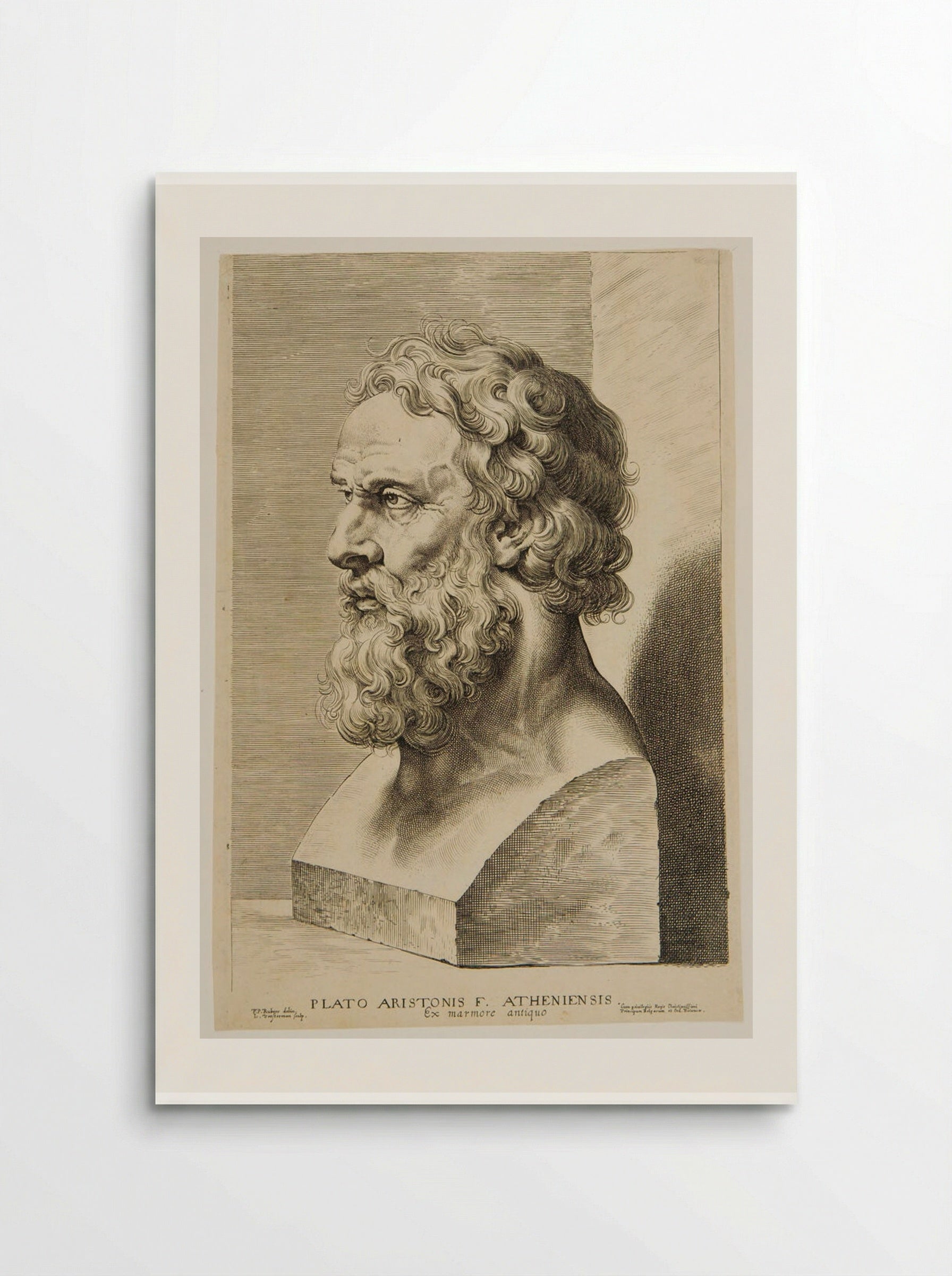 Bust of Plato - Lucas Vorsterman I - Poster