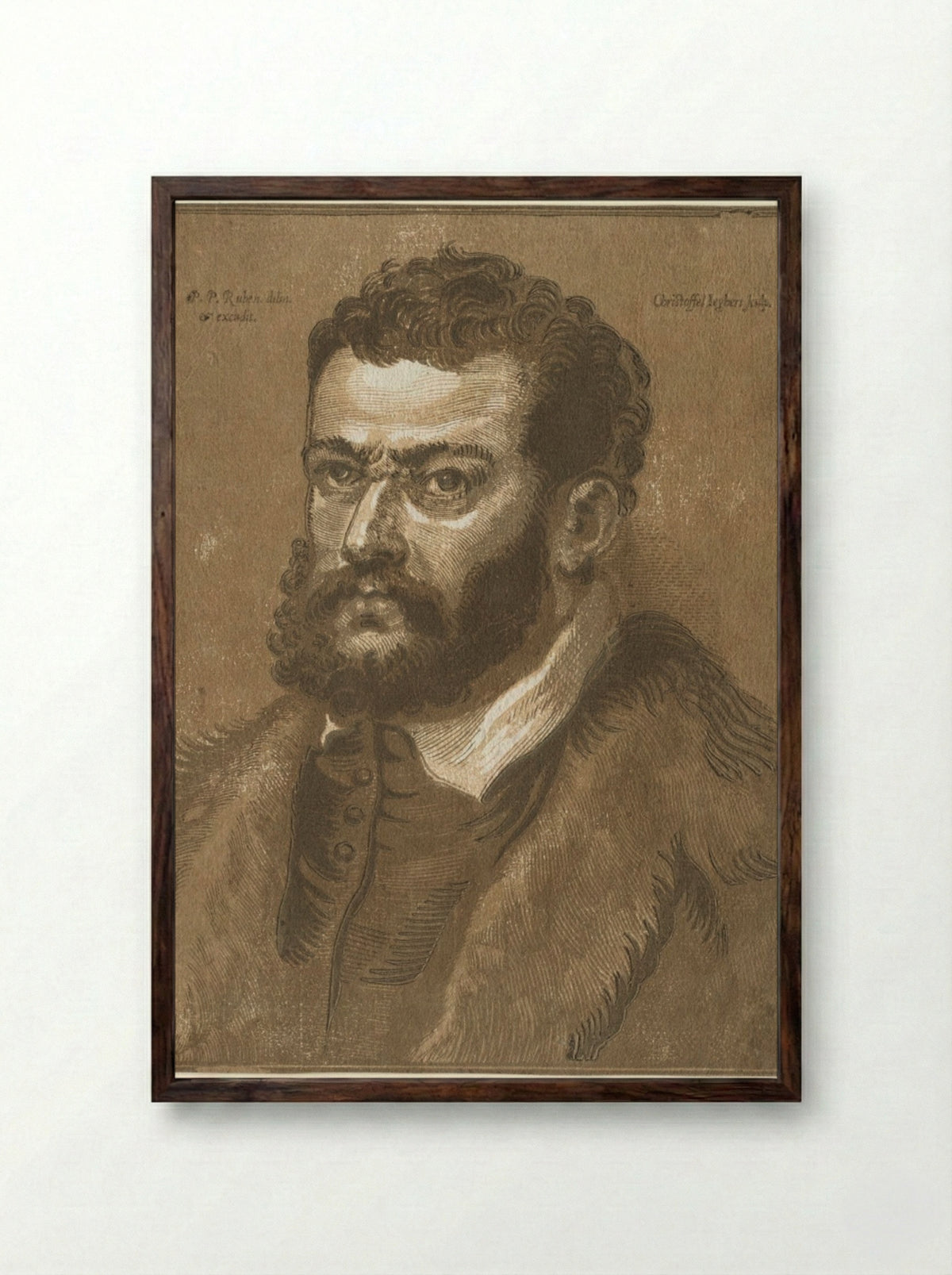 Bust of a Bearded Man (Doge Giovanni Cornaro) - Christoffel Jegher - Framed Print Dark Wood