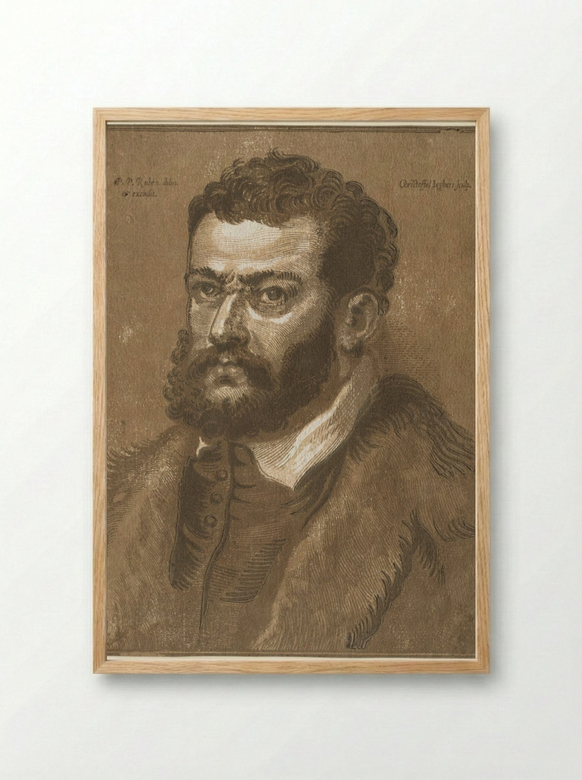 Bust of a Bearded Man (Doge Giovanni Cornaro) - Christoffel Jegher - Framed Print Wood