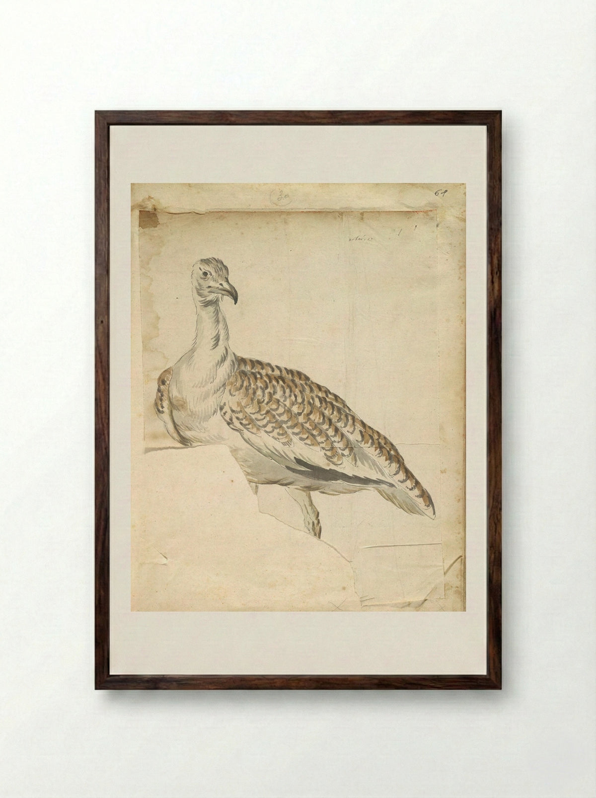 Bustard - Jean-Baptiste Oudry - Framed Print Dark Wood