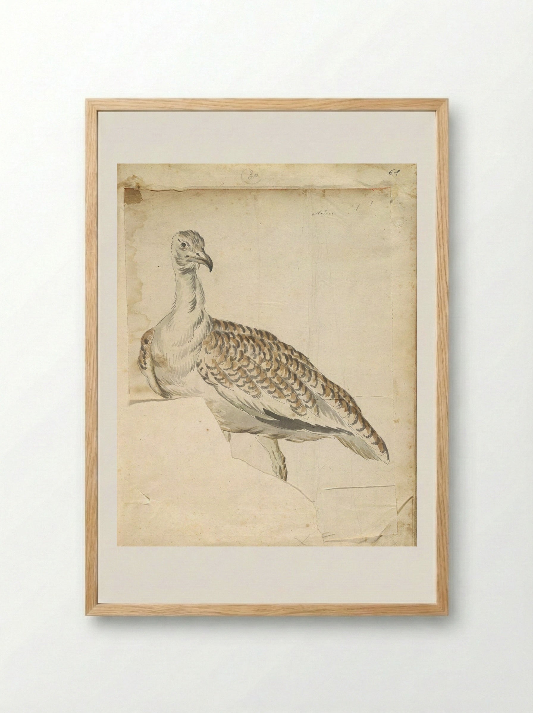 Bustard - Jean-Baptiste Oudry - Framed Print Wood