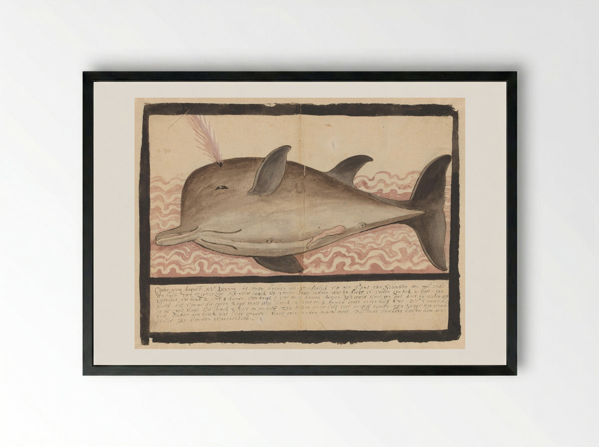 Butskop (Hyperoodon rostratus) - Adriaen Coenen - Framed Print Black