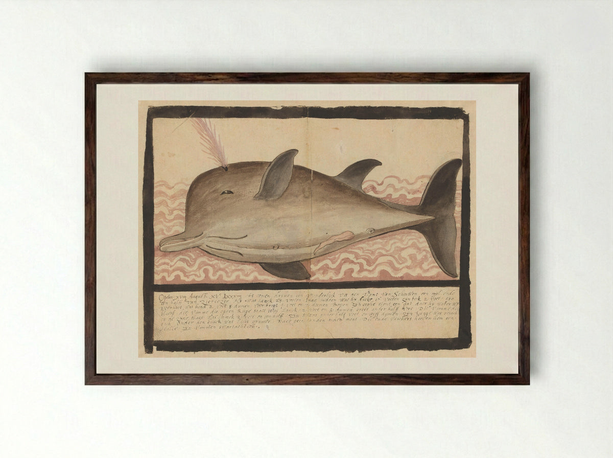 Butskop (Hyperoodon rostratus) - Adriaen Coenen - Framed Print Dark Wood