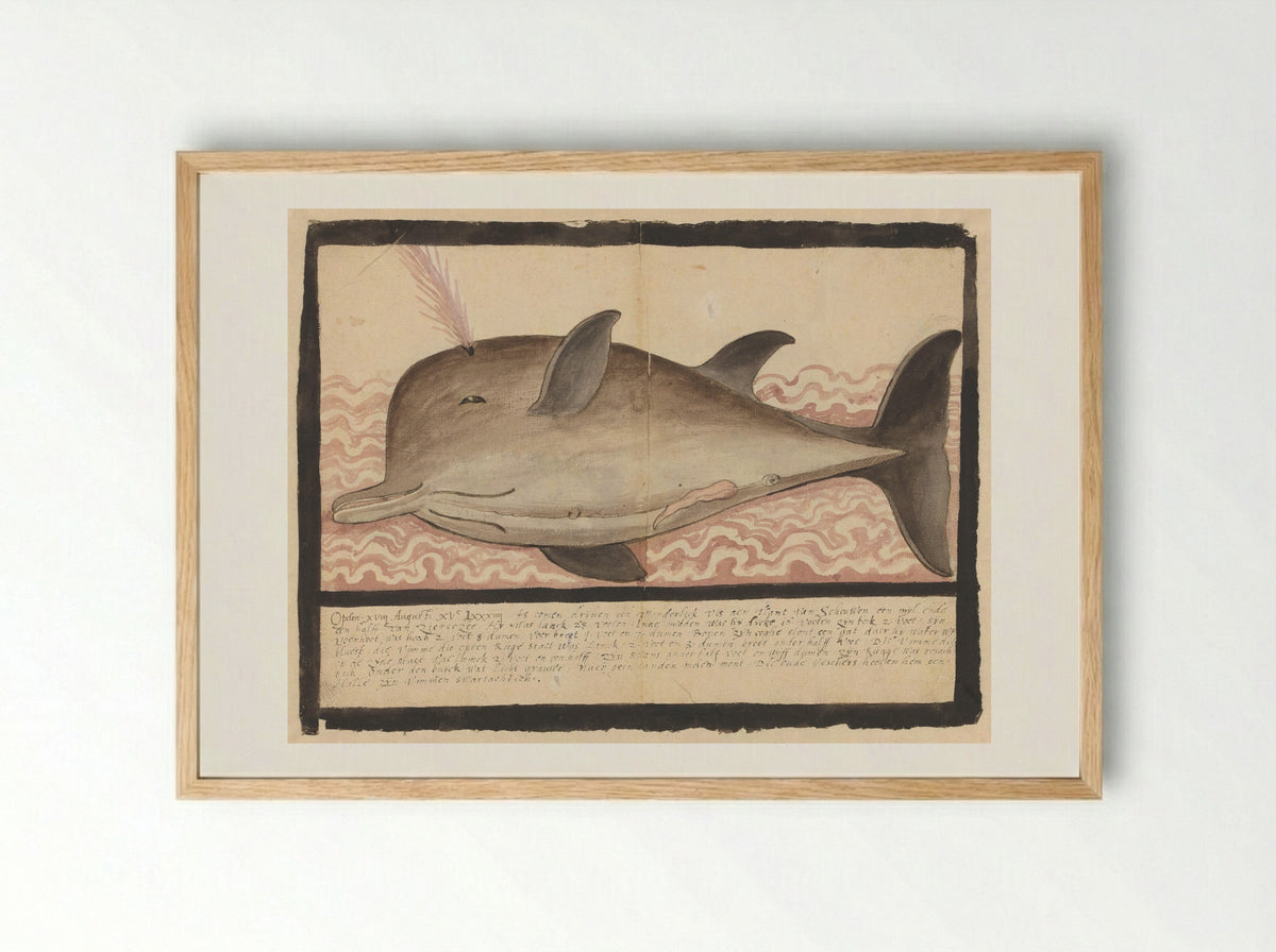 Butskop (Hyperoodon rostratus) - Adriaen Coenen - Framed Print Wood