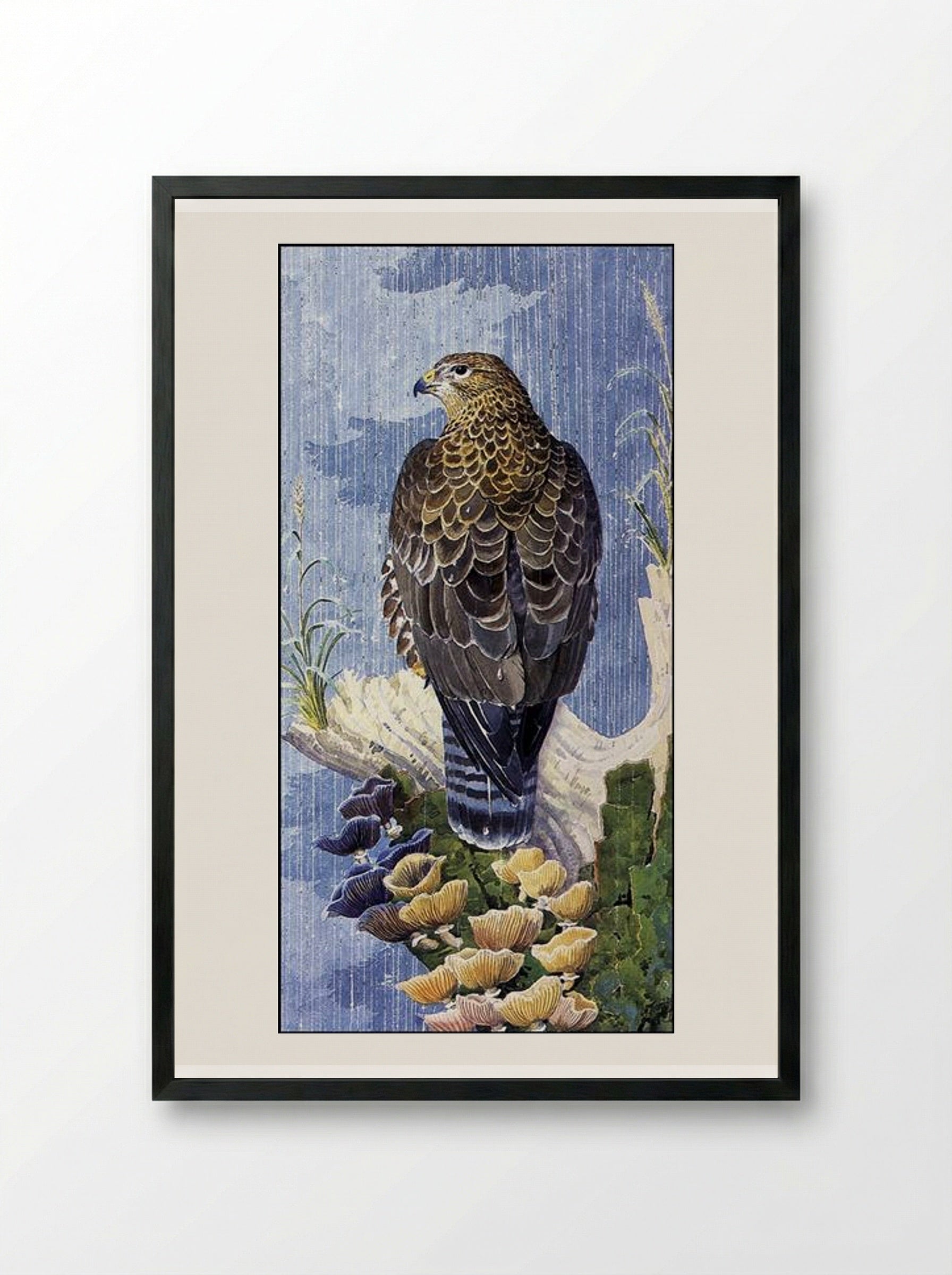 Buzzard In The Rain - Charles Tunnicliffe - Framed Print Black