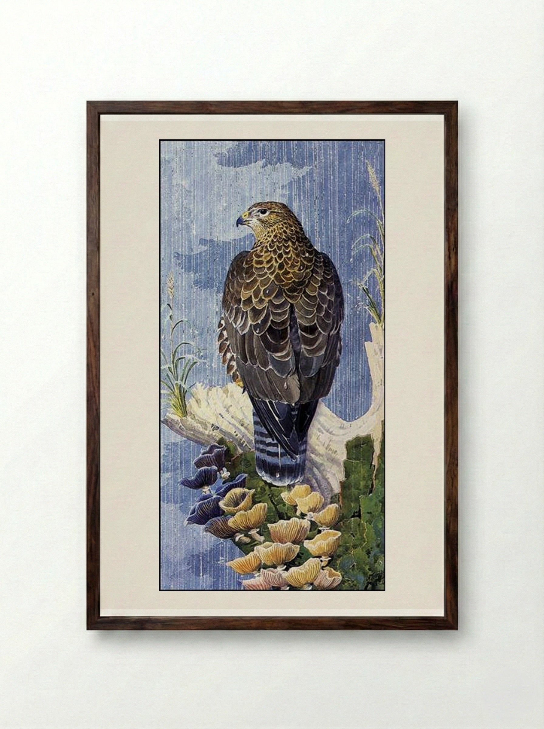 Buzzard In The Rain - Charles Tunnicliffe - Framed Print Dark Wood