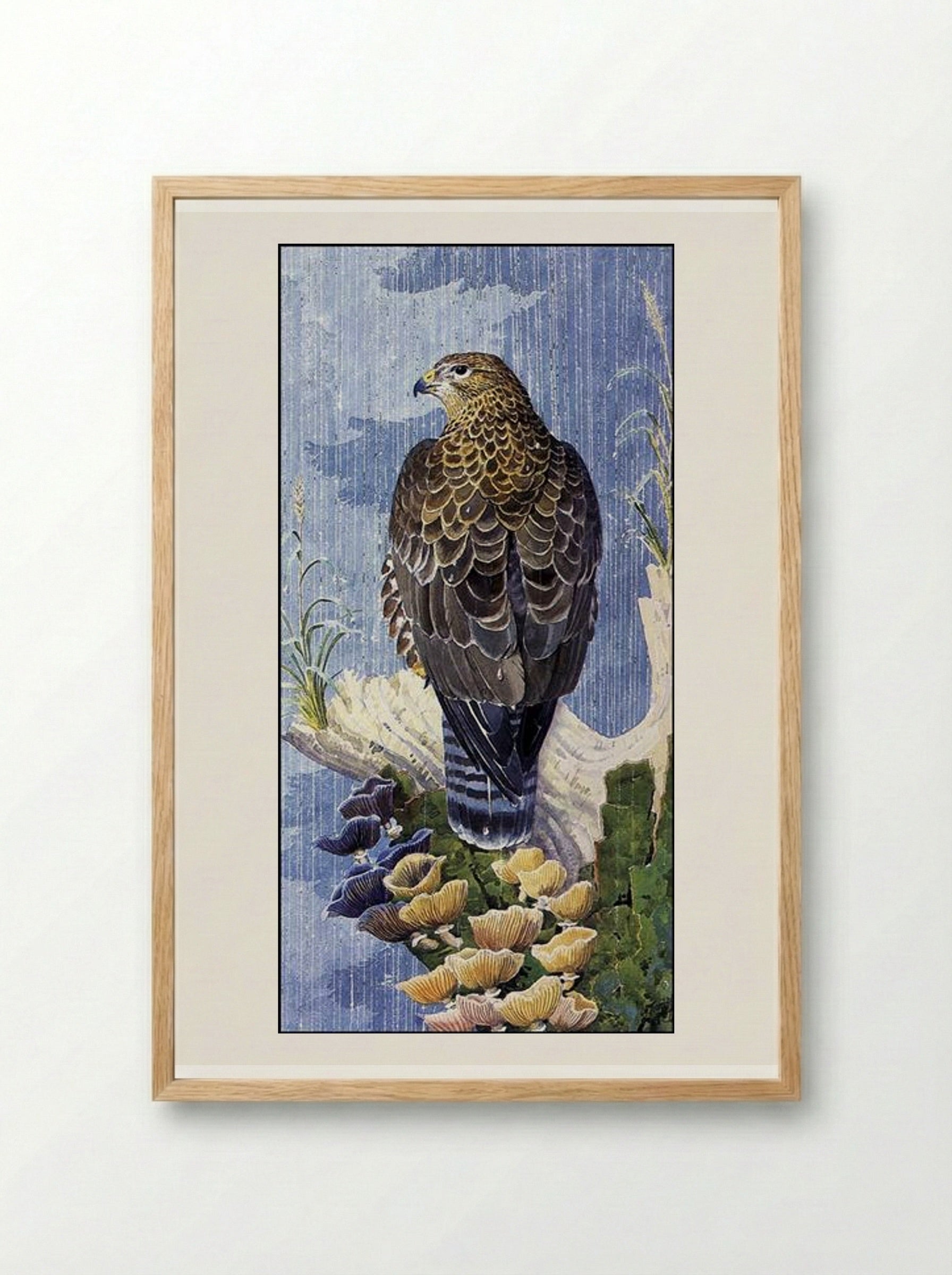 Buzzard In The Rain - Charles Tunnicliffe - Framed Print Wood