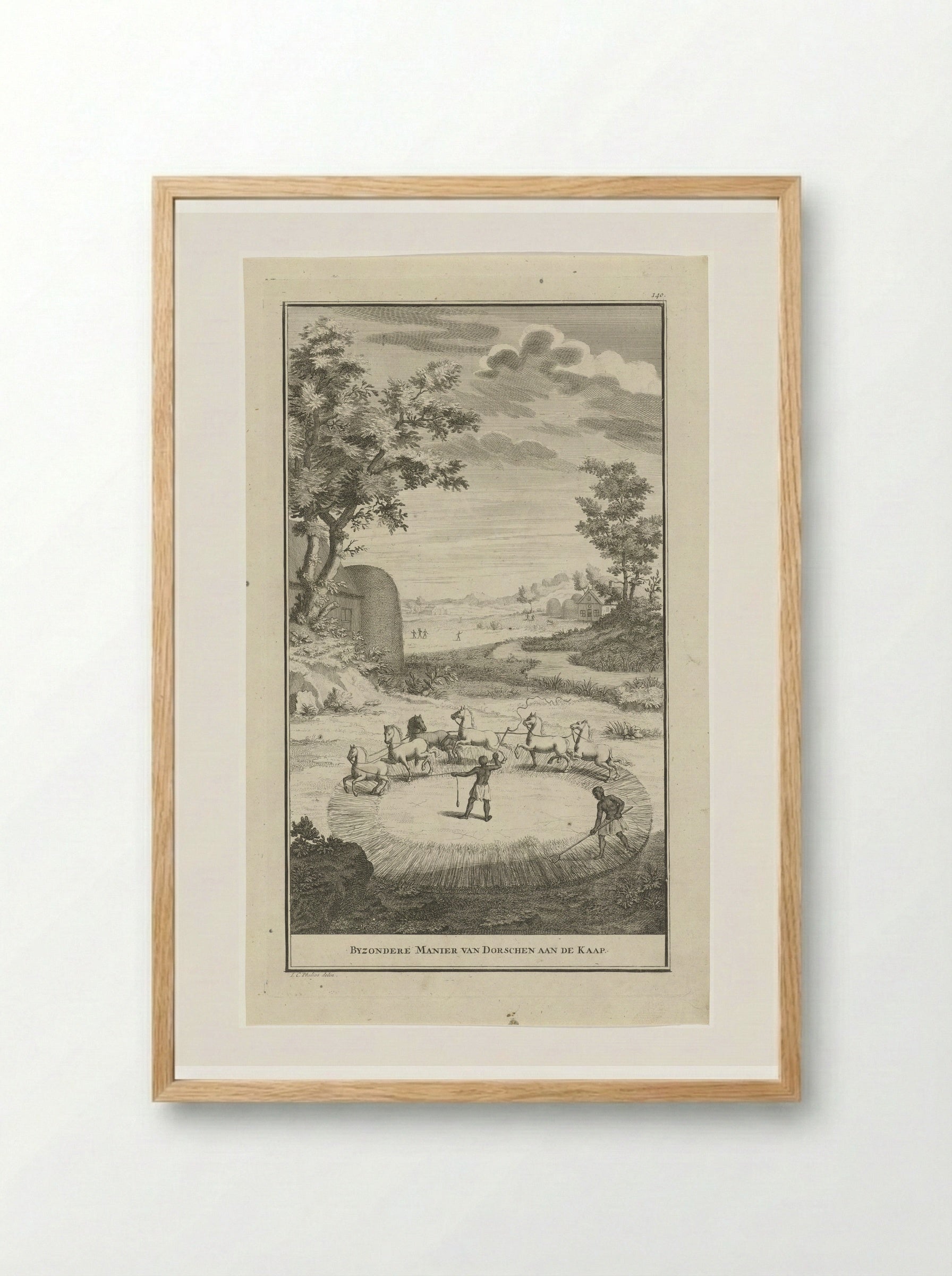 Byzondere manier van dorschen aan de Kaap - Jan Caspar Philips - Framed Print Wood
