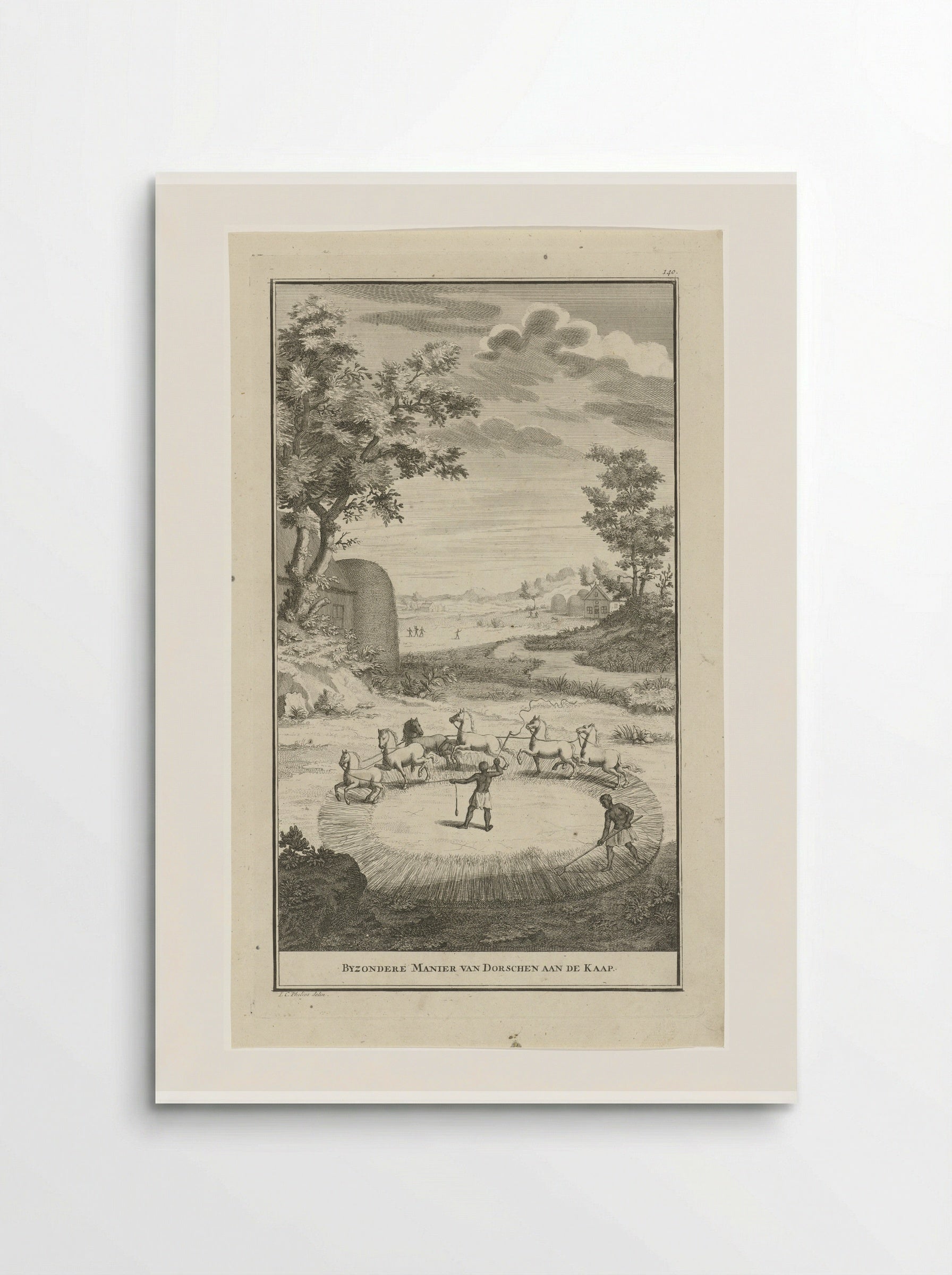 Byzondere manier van dorschen aan de Kaap - Jan Caspar Philips - Poster