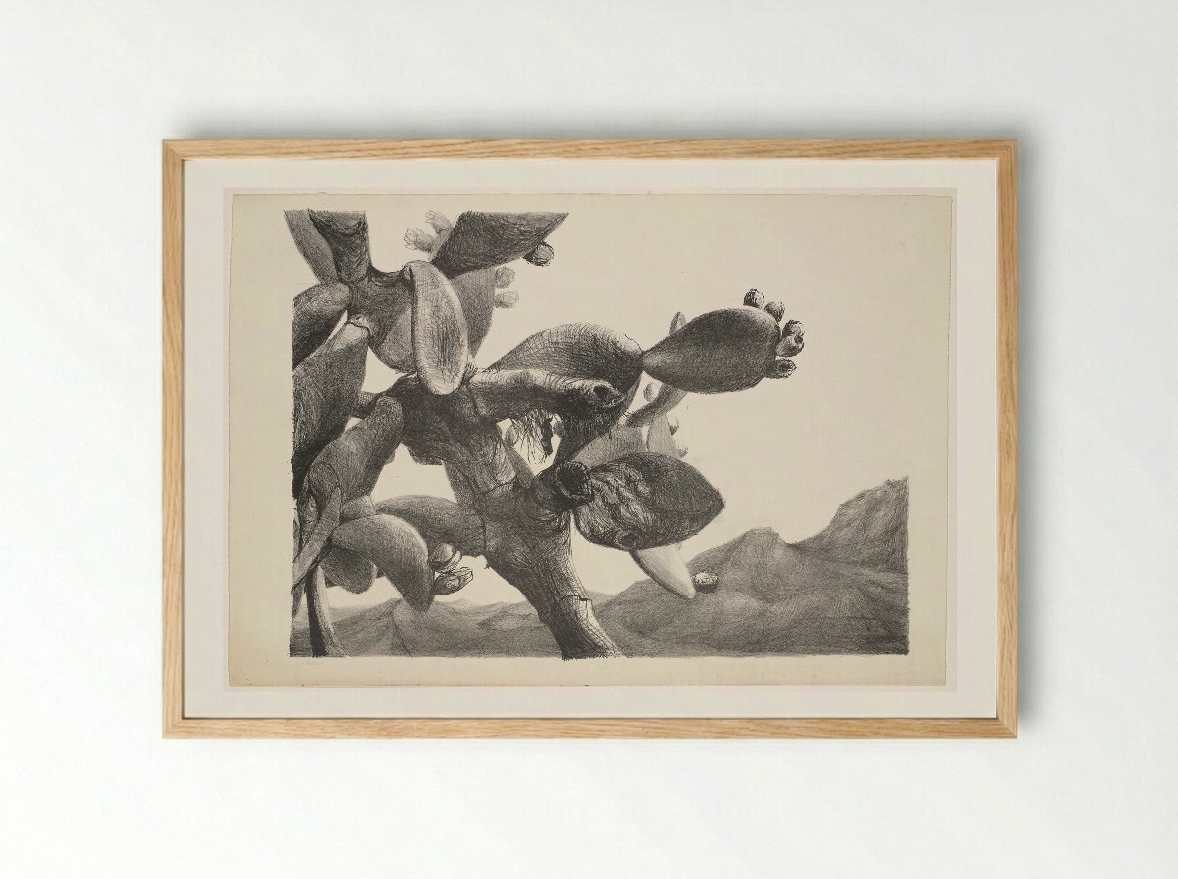 Cactus in landschap op Ibiza - Aat Veldhoen - Framed Print Wood
