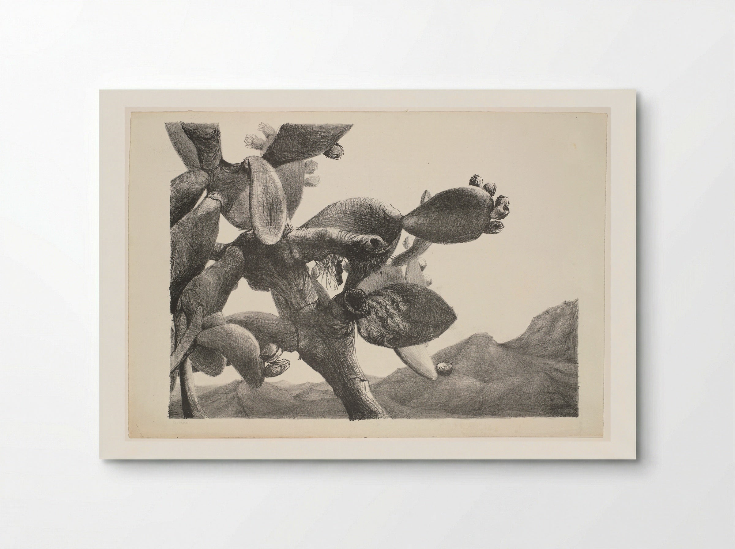 Cactus in landschap op Ibiza - Aat Veldhoen - Poster