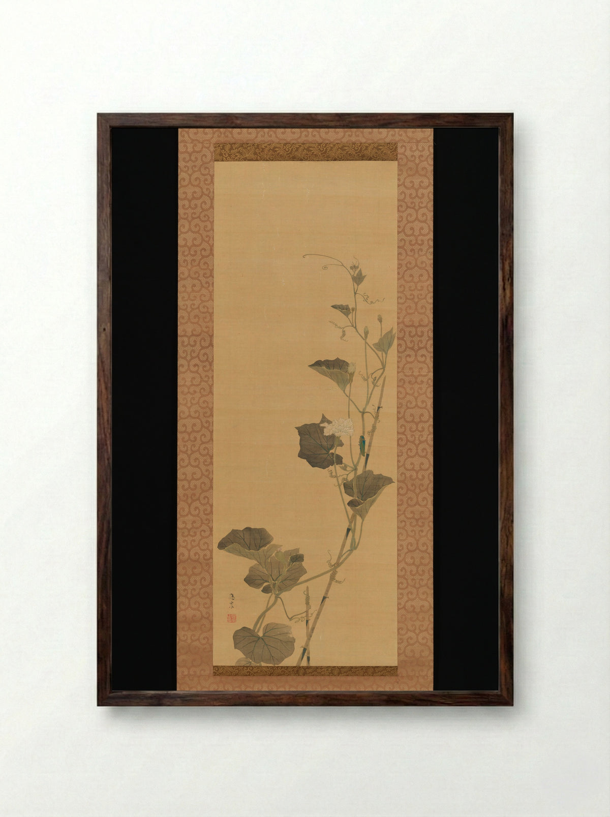 Calabash Flowers and Beetle - Maruyama Ōshin - Framed Print Dark Wood