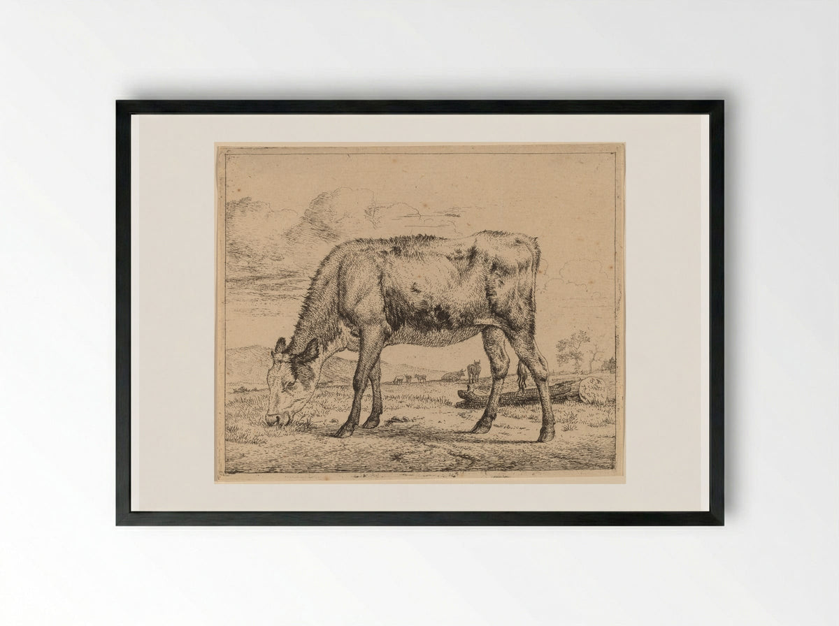 Calf - Adriaen van de Velde - Framed Print Black