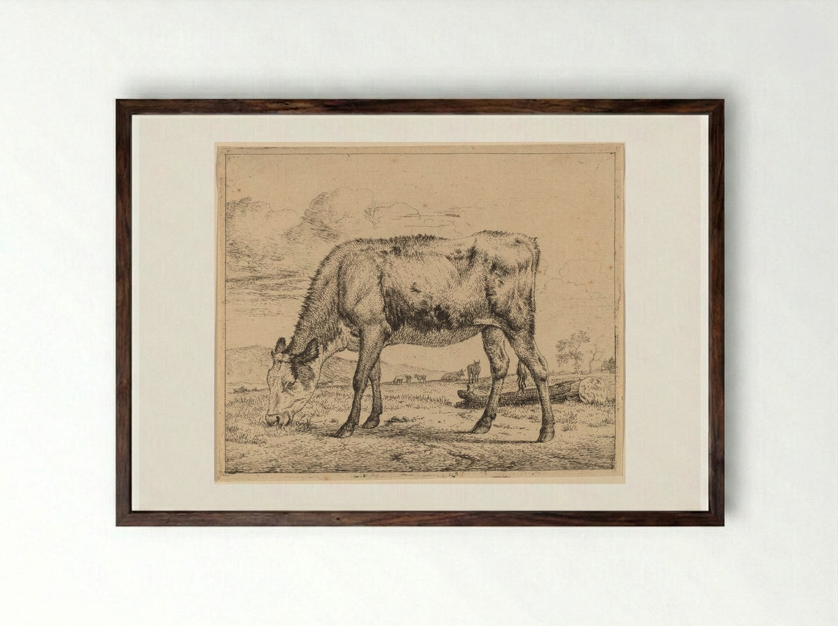 Calf - Adriaen van de Velde - Framed Print Dark Wood