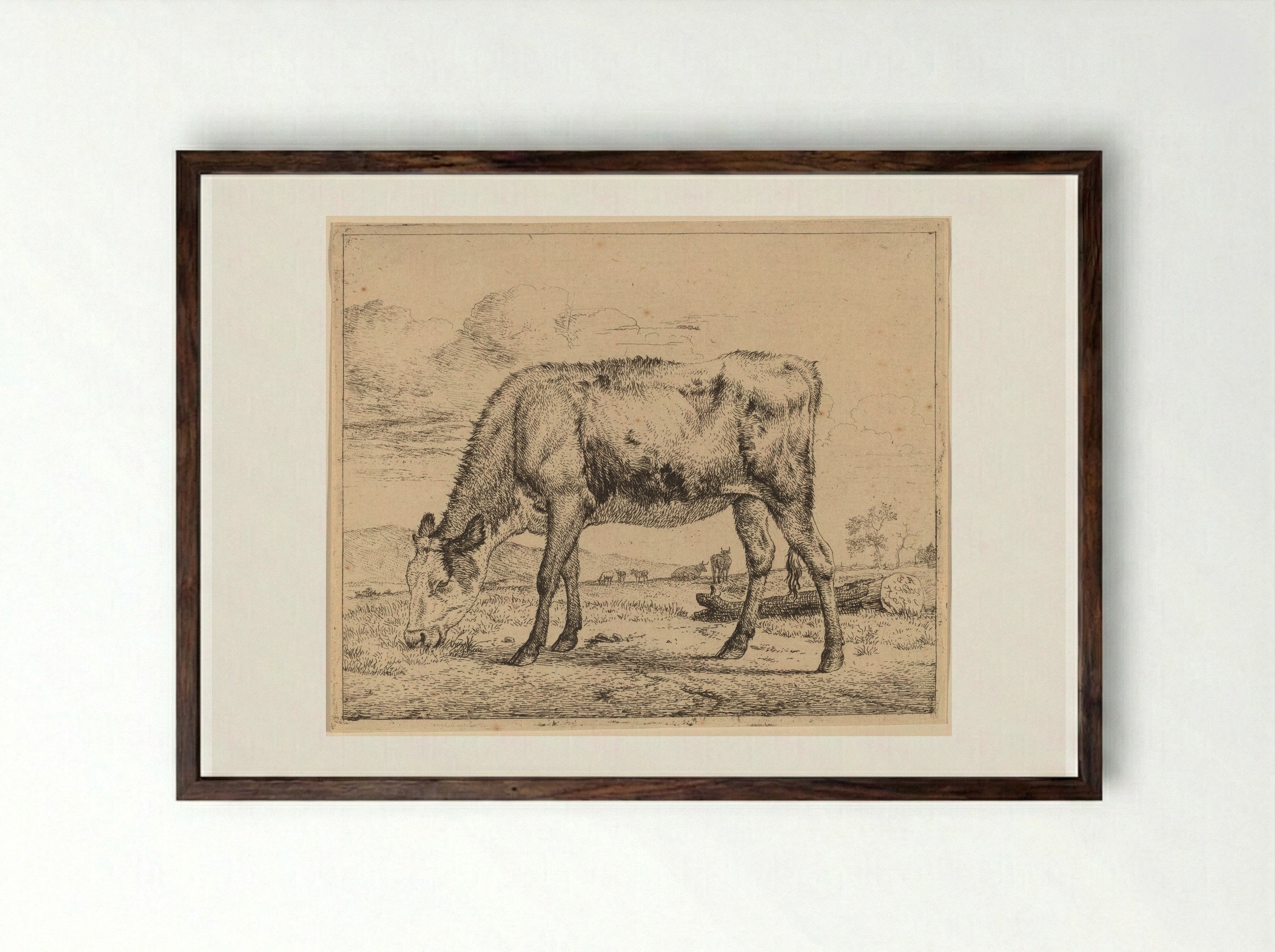 Calf - Adriaen van de Velde - Framed Print Dark Wood
