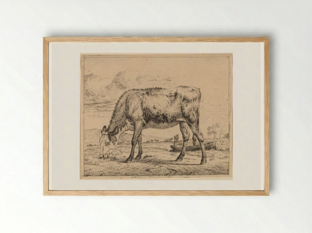 Calf - Adriaen van de Velde - Framed Print Wood