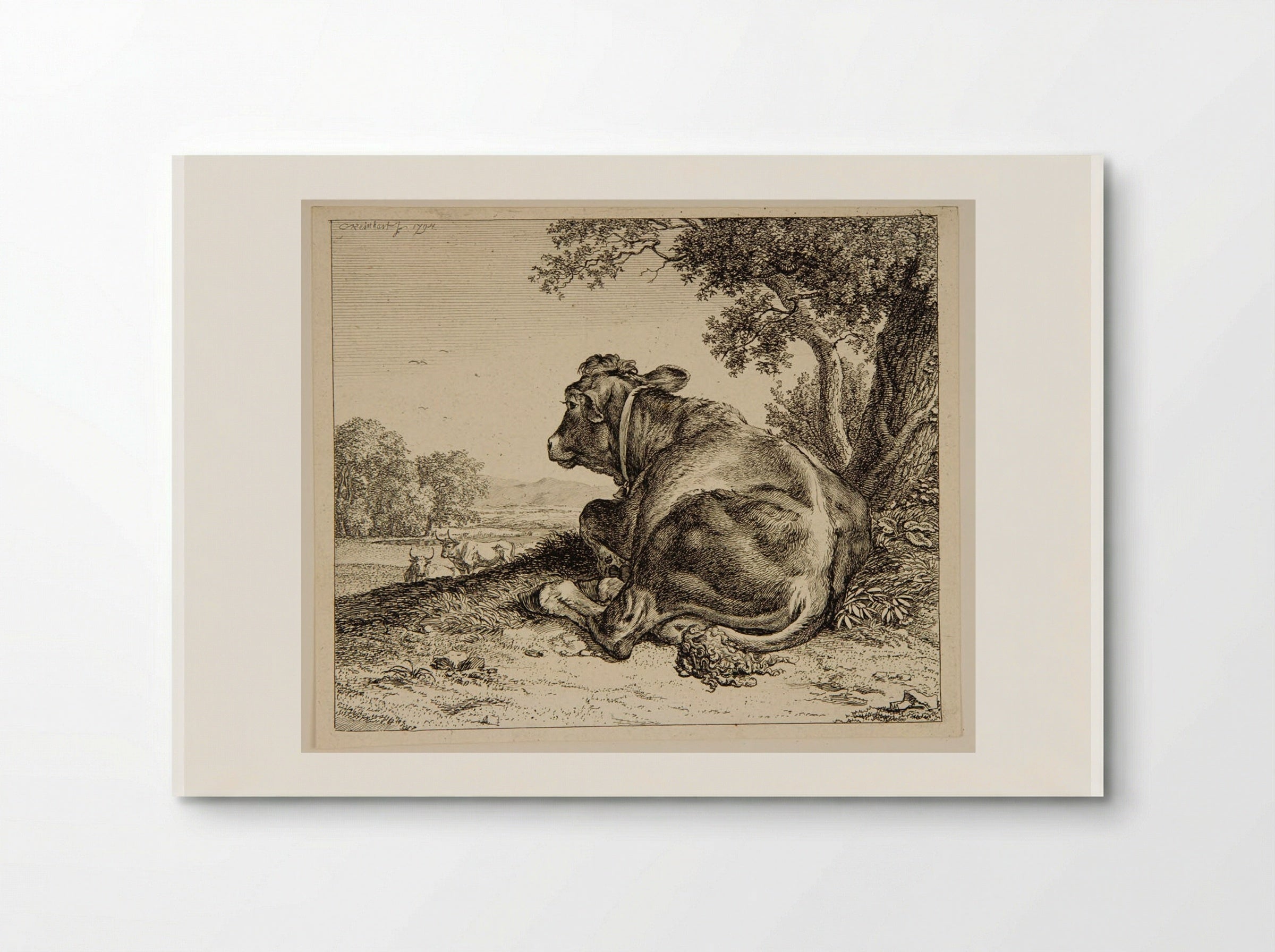 Calf - Johann Christian Reinhart - Poster