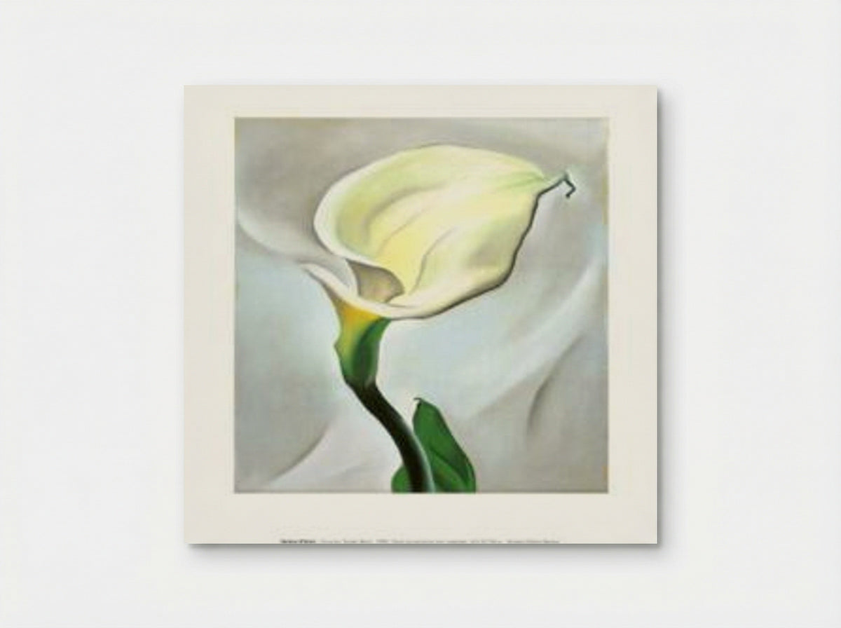 Calla Lily Turned Away - Georgia O'Keeffe - Poster