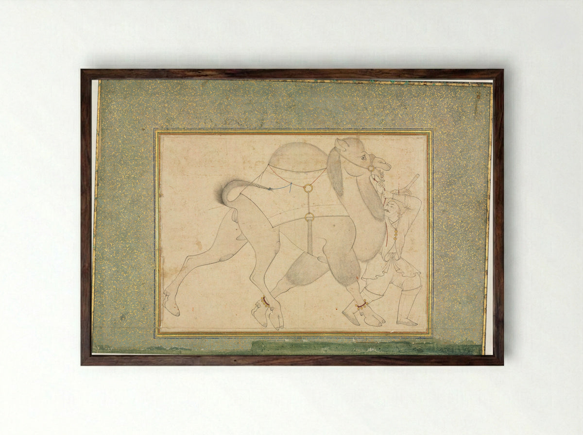 Camel and Groom - Shaykh Muhammad - Framed Print Dark Wood