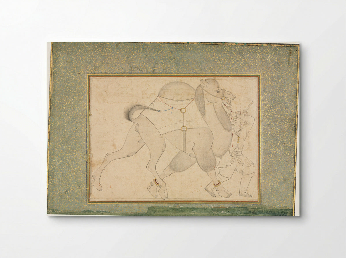 Camel and Groom - Shaykh Muhammad - Poster