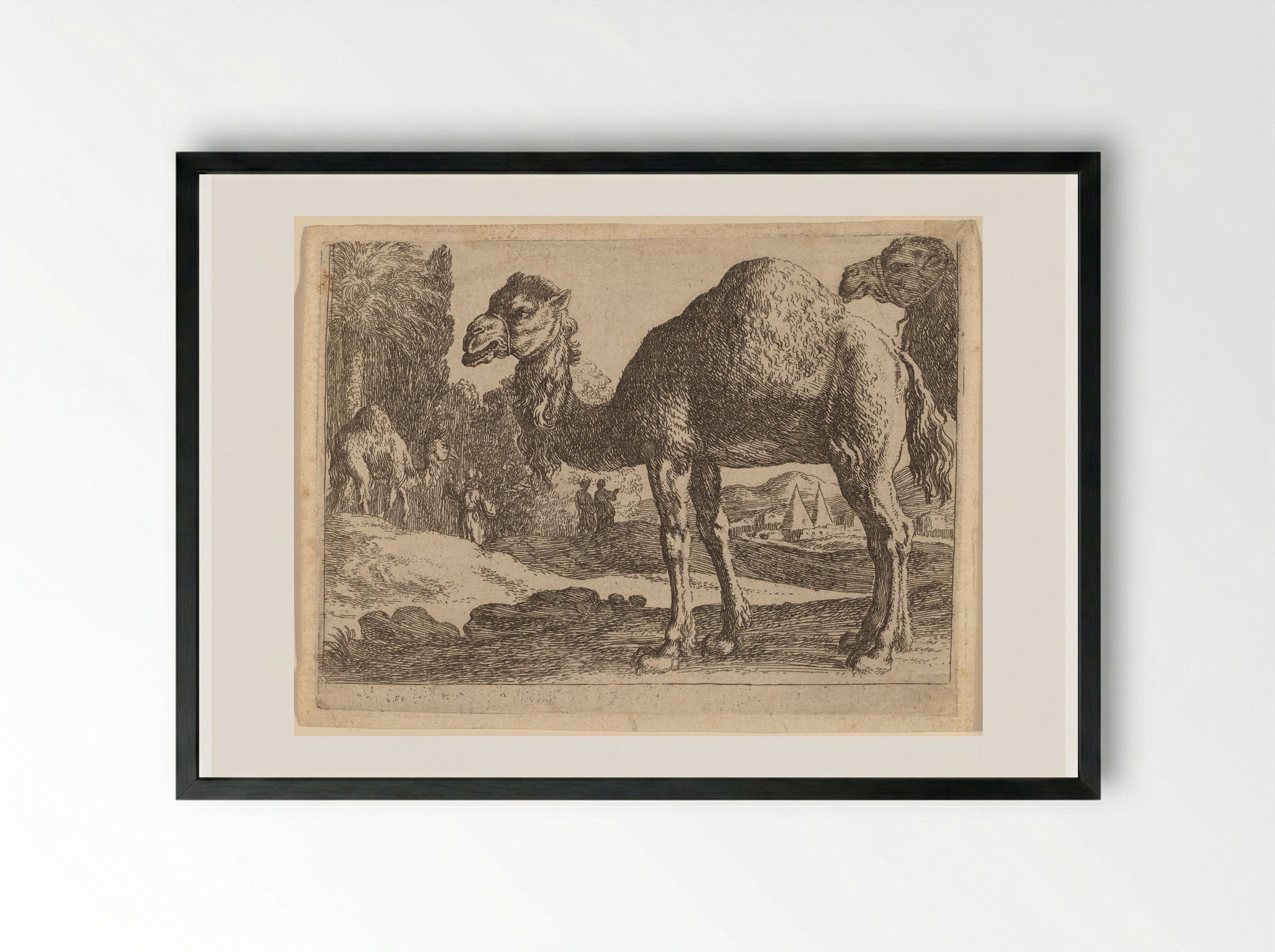Camels - Herman van Swanevelt - Framed Print Black