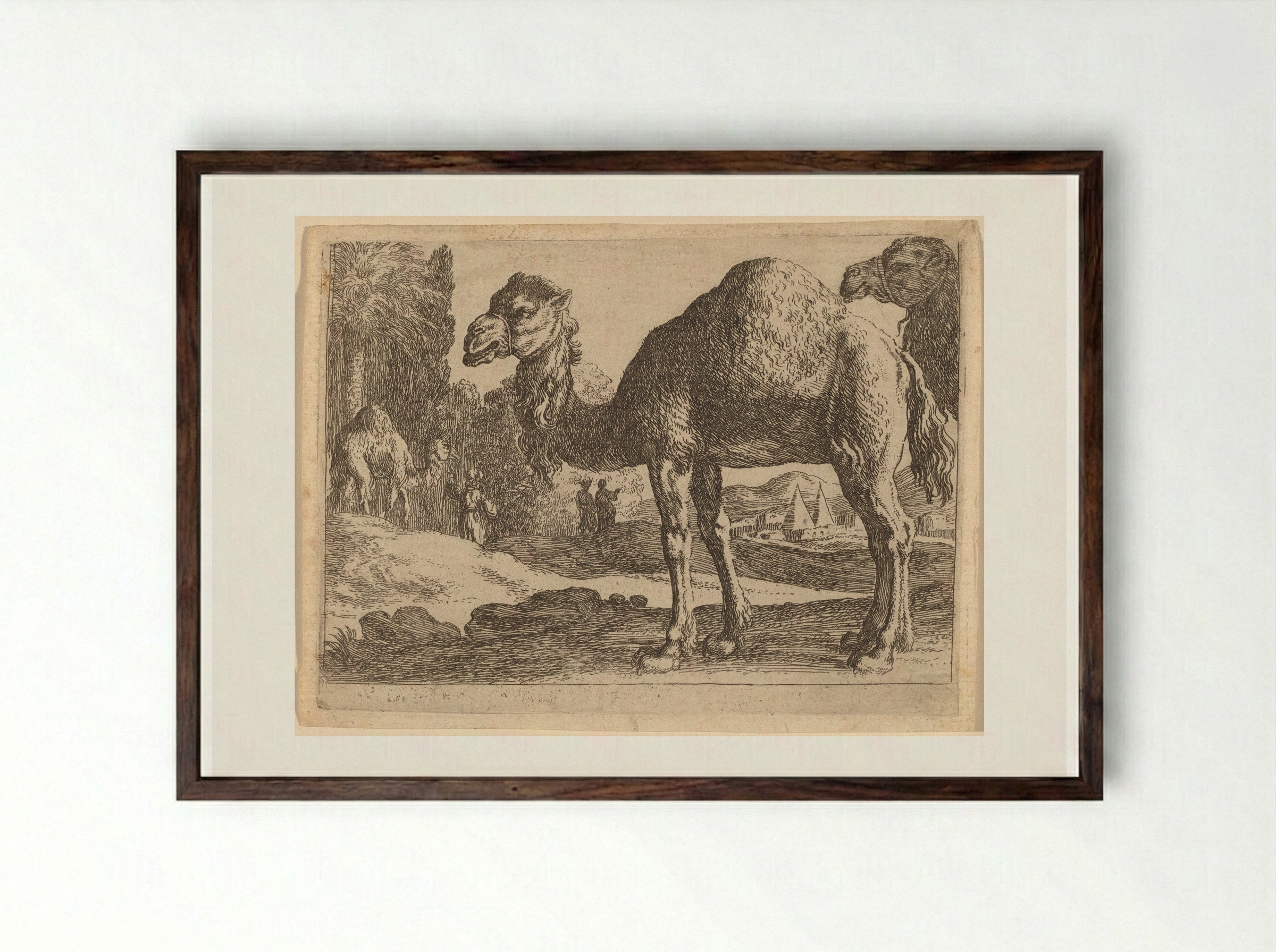 Camels - Herman van Swanevelt - Framed Print Dark Wood
