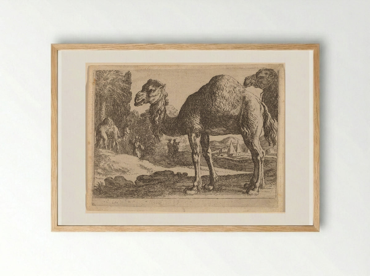 Camels - Herman van Swanevelt - Framed Print Wood