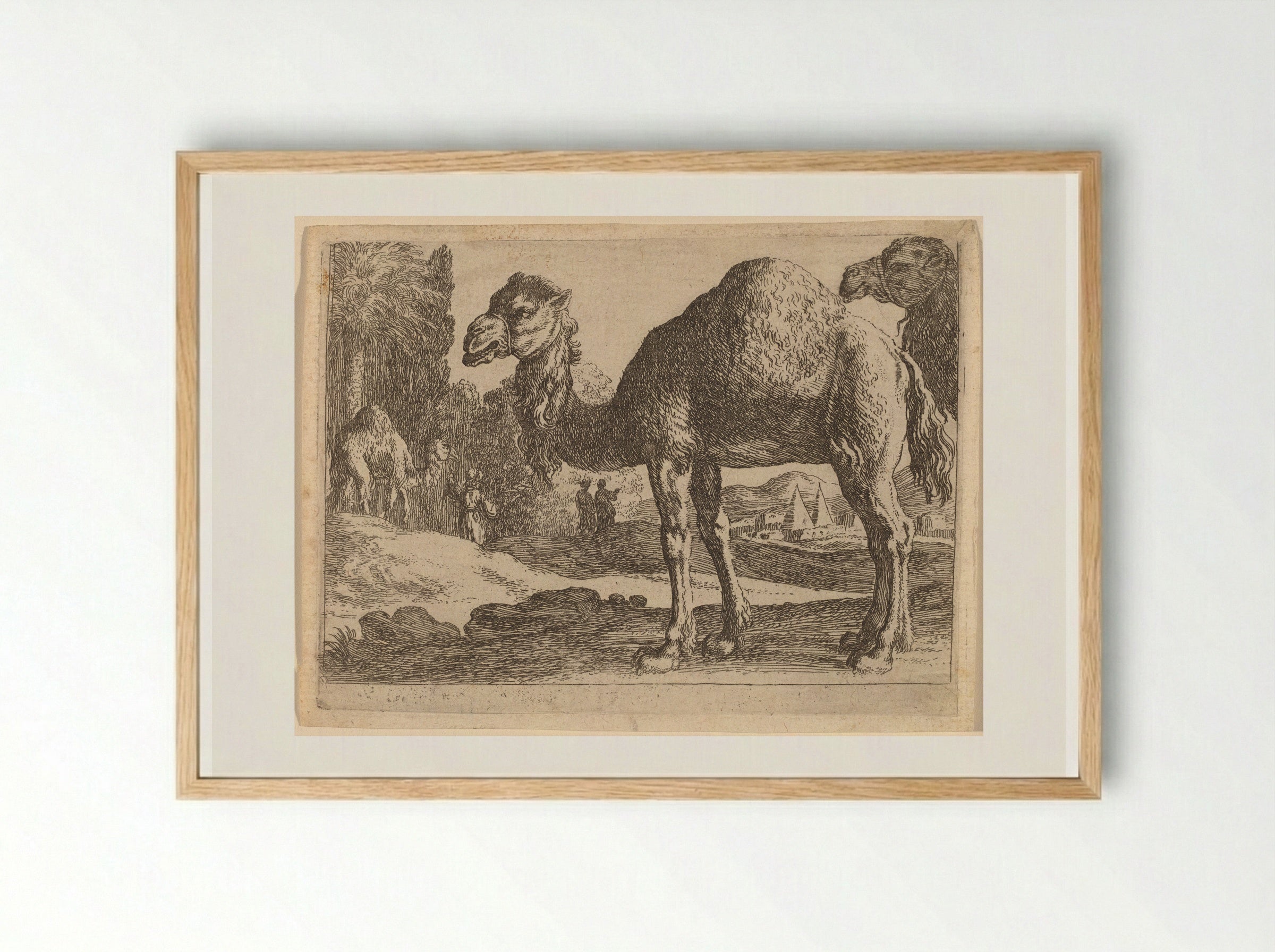 Camels - Herman van Swanevelt - Framed Print Wood